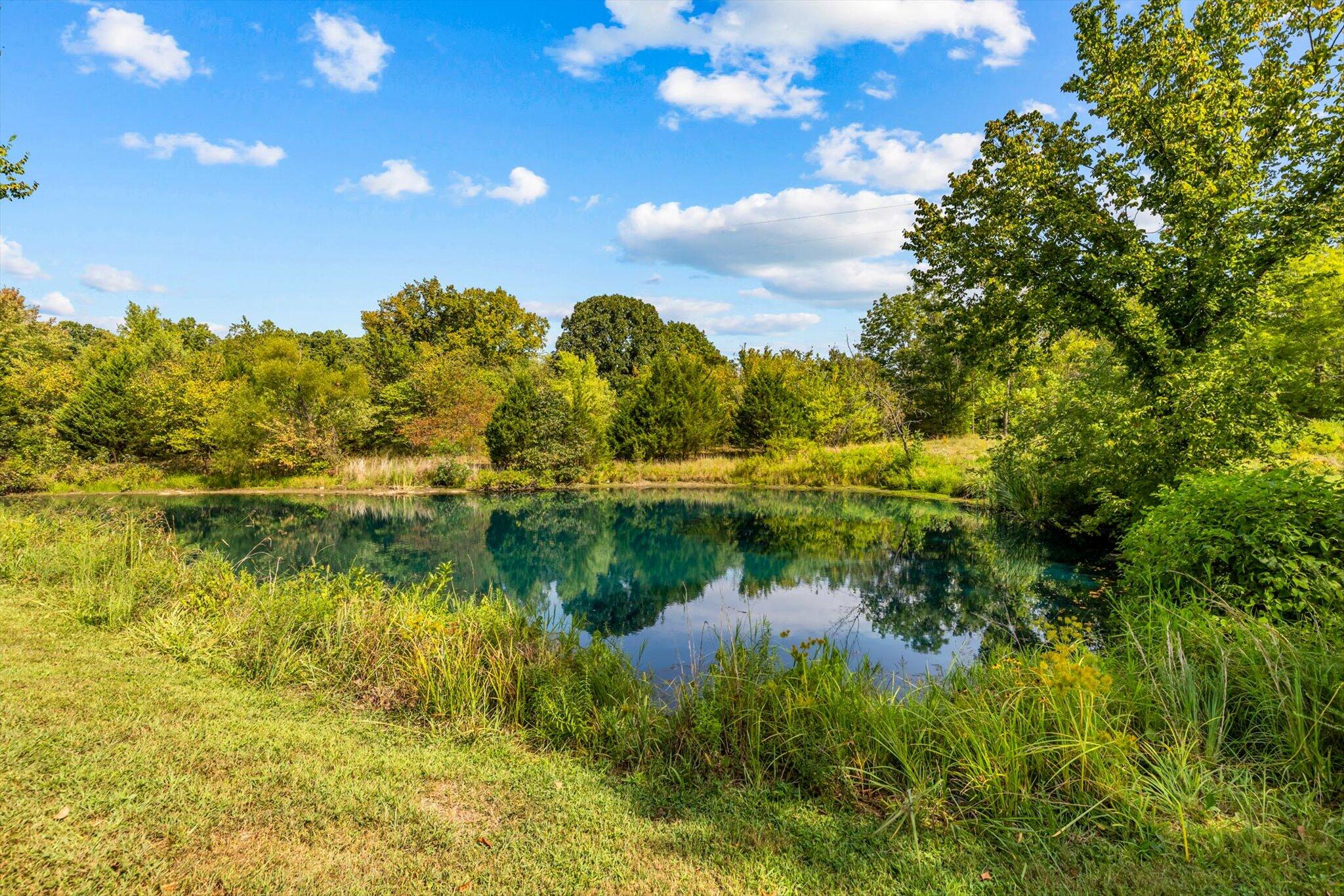 Photo 38 - Commercial Sale for sale – 38  Evening Star Loop  Dadeville, MO