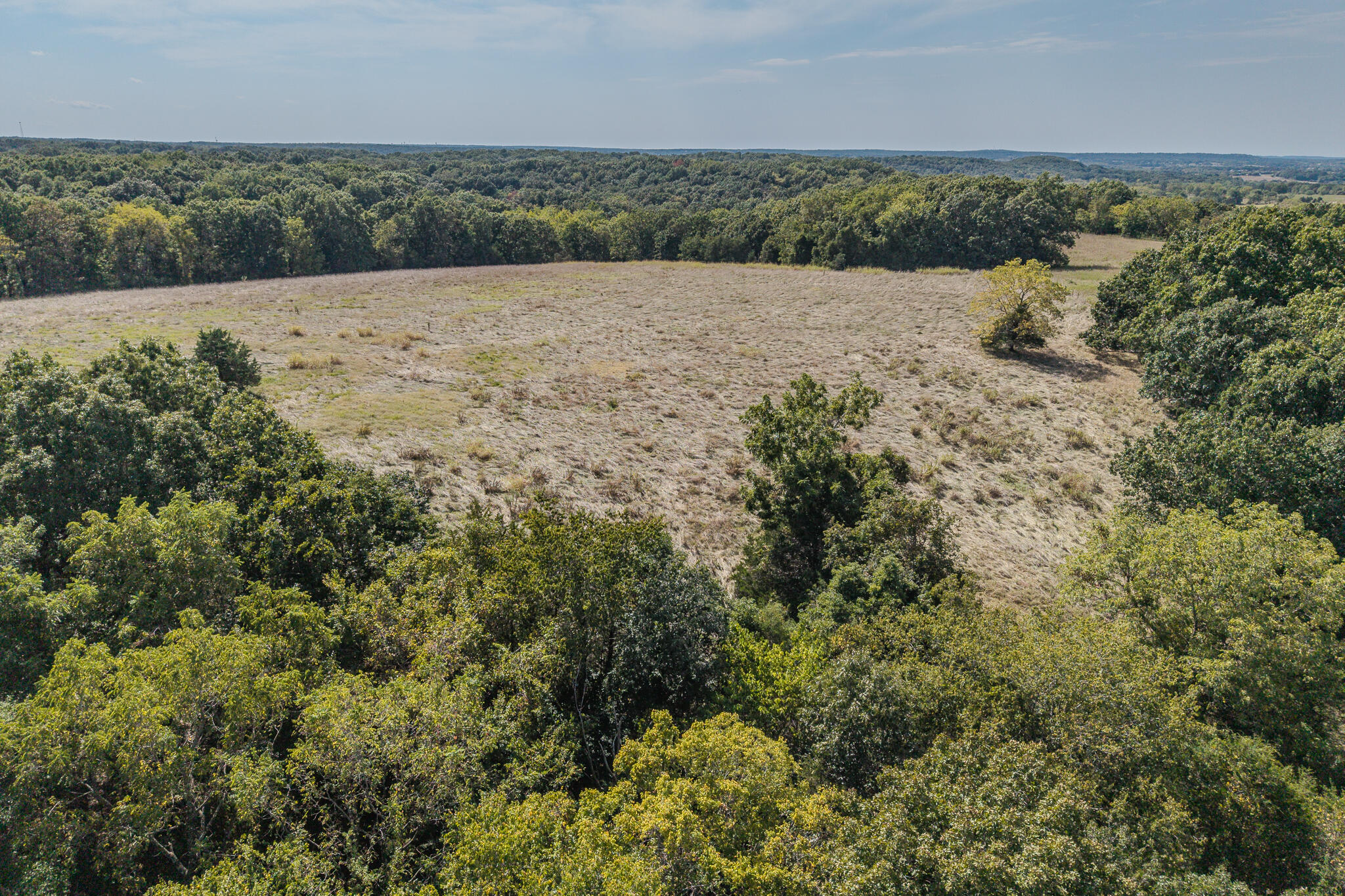 Photo 15 - Land for sale – 000  White Clover Road  Strafford, MO