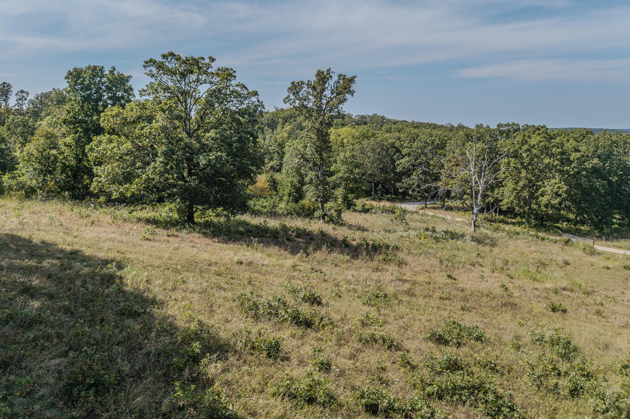 Photo 27 - Land for sale – 000  White Clover Road  Strafford, MO