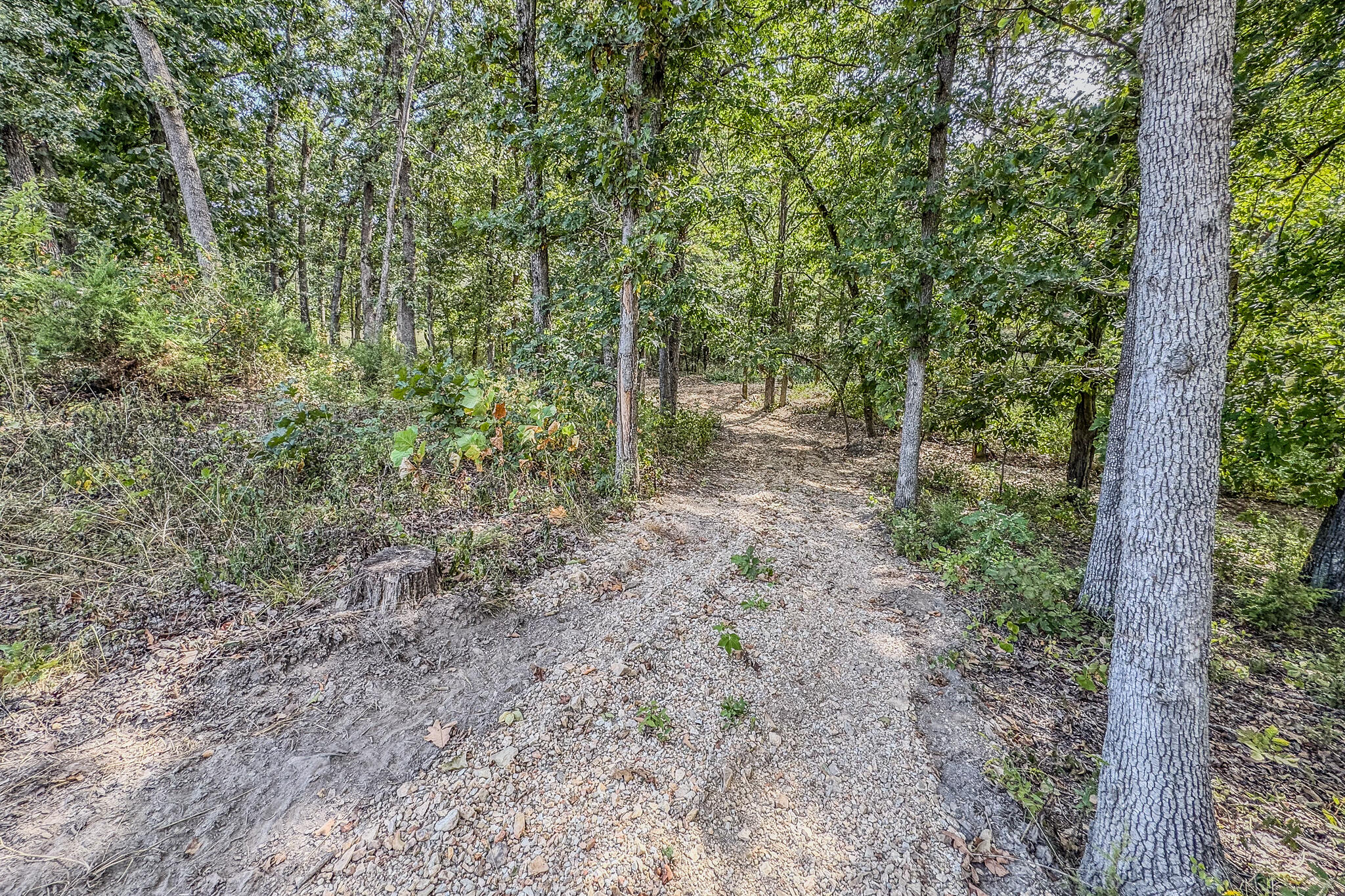 Photo 37 - Land for sale – 000  White Clover Road  Strafford, MO