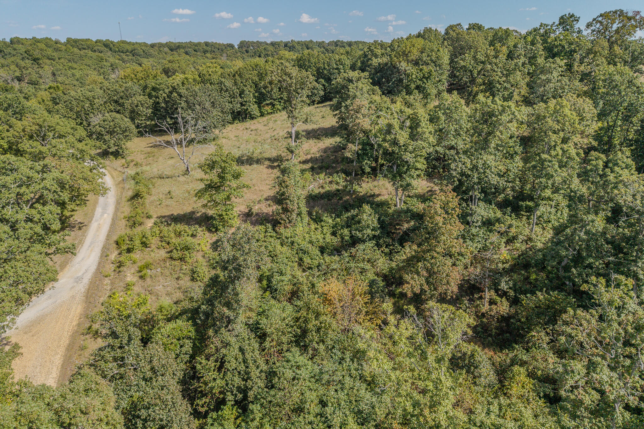 Photo 24 - Land for sale – 000  White Clover Road  Strafford, MO
