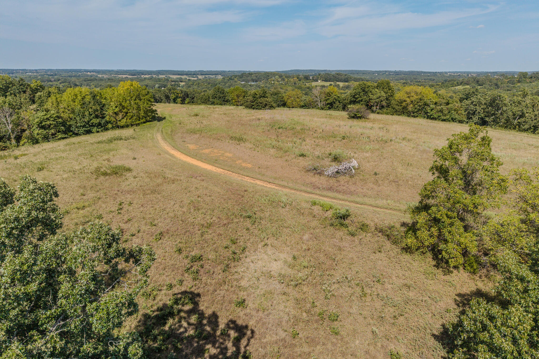 Photo 18 - Land for sale – 000  White Clover Road  Strafford, MO