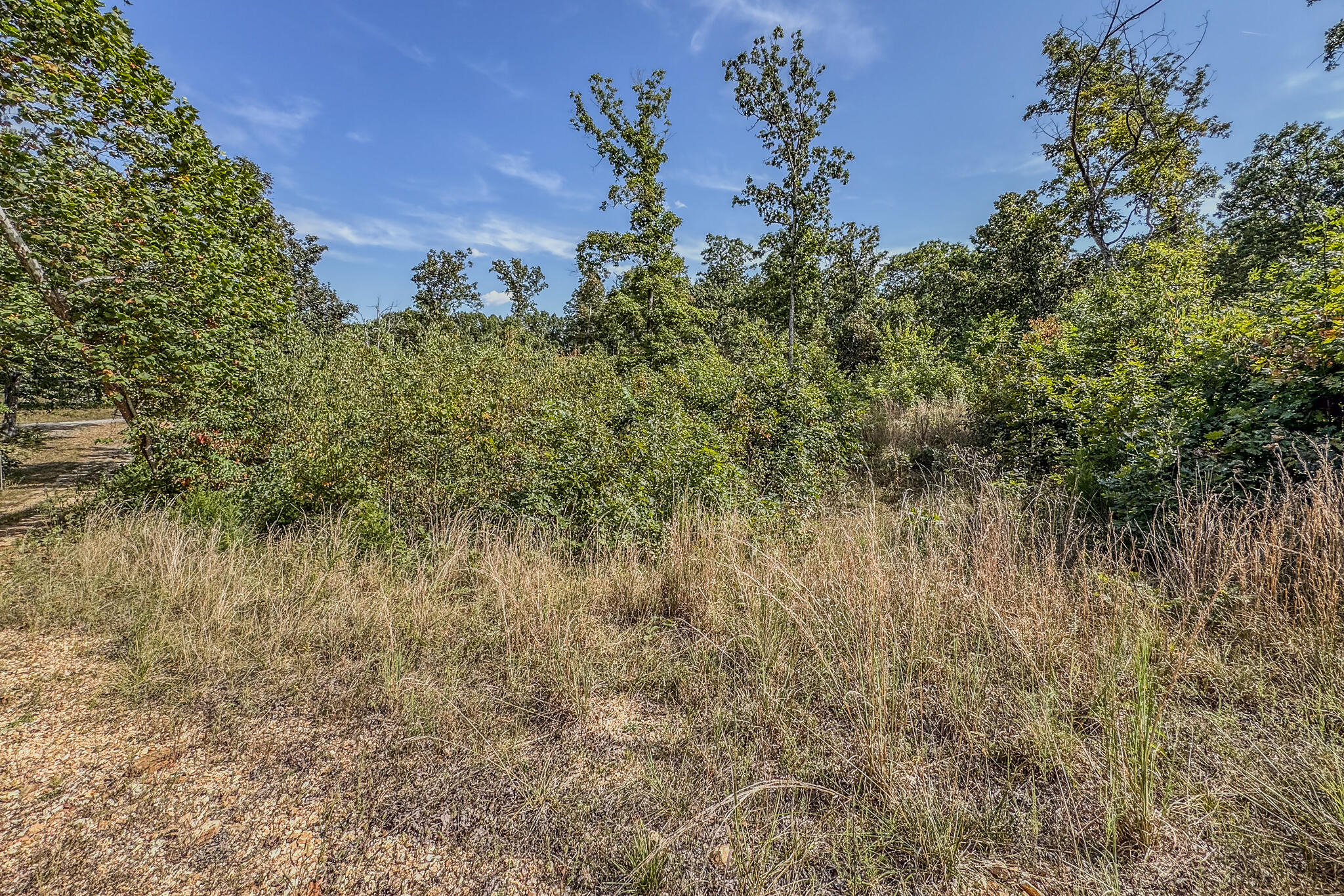 Photo 32 - Land for sale – 000  White Clover Road  Strafford, MO
