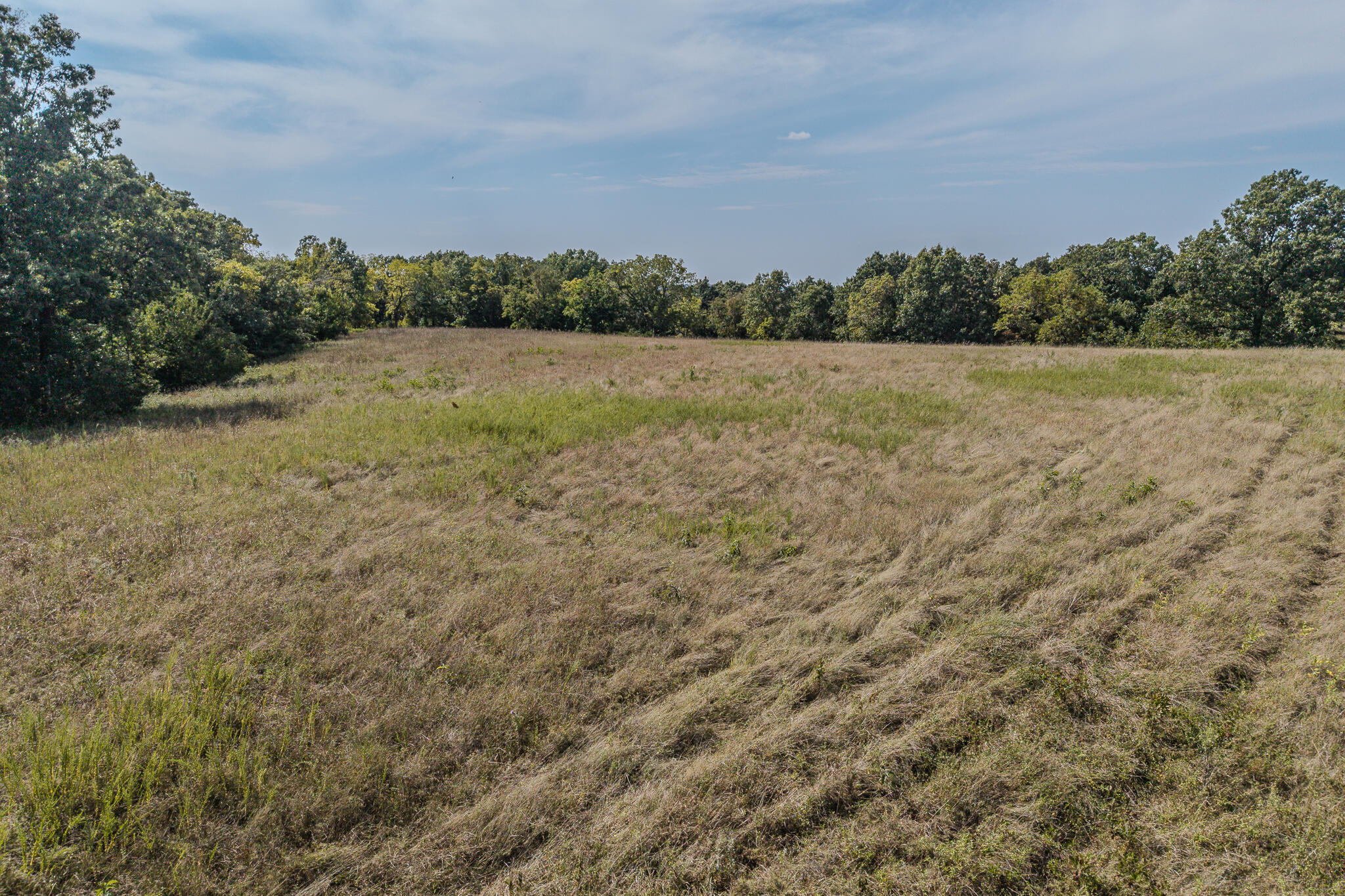 Photo 22 - Land for sale – 000  White Clover Road  Strafford, MO