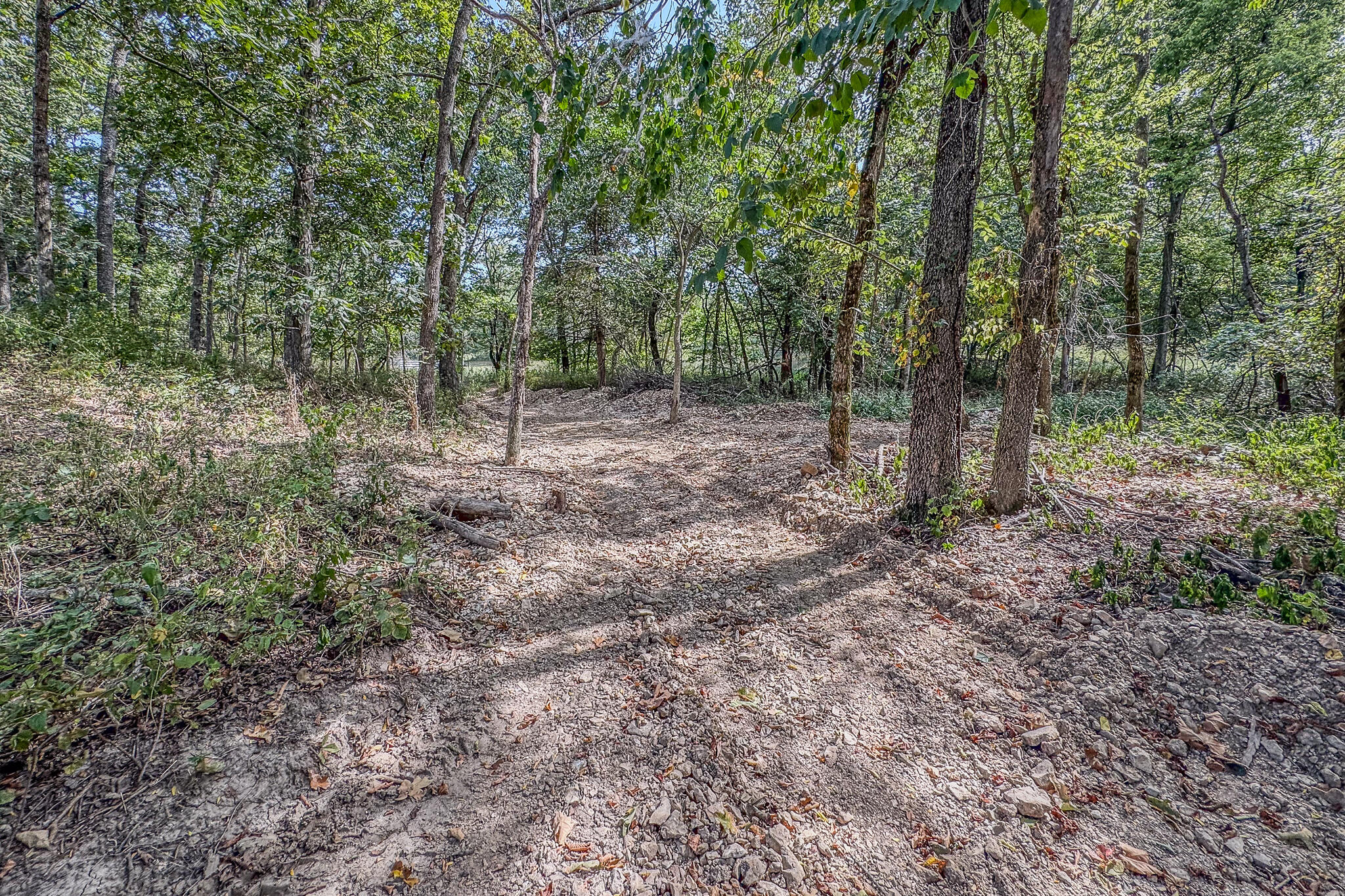 Photo 38 - Land for sale – 000  White Clover Road  Strafford, MO