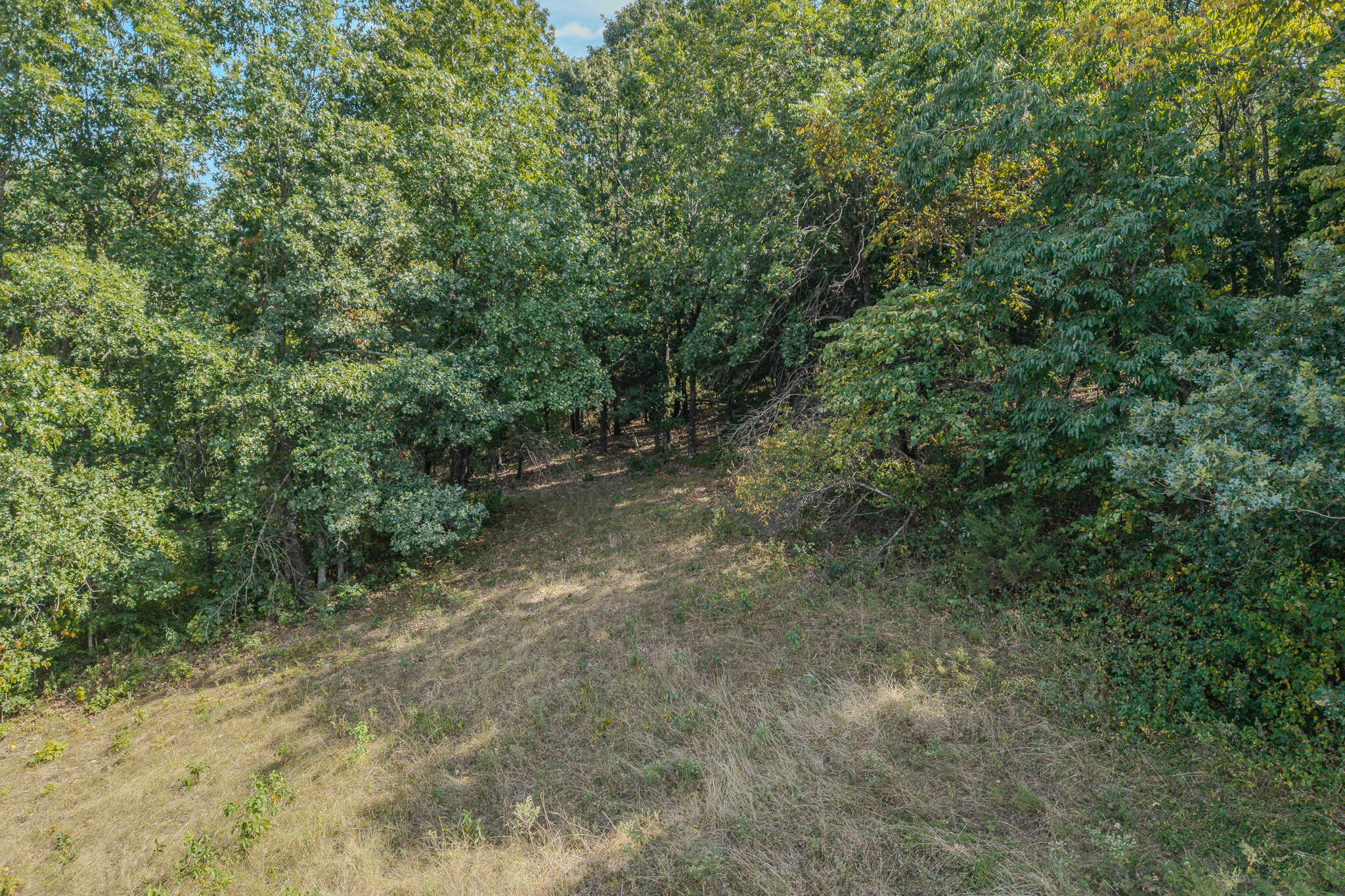 Photo 26 - Land for sale – 000  White Clover Road  Strafford, MO