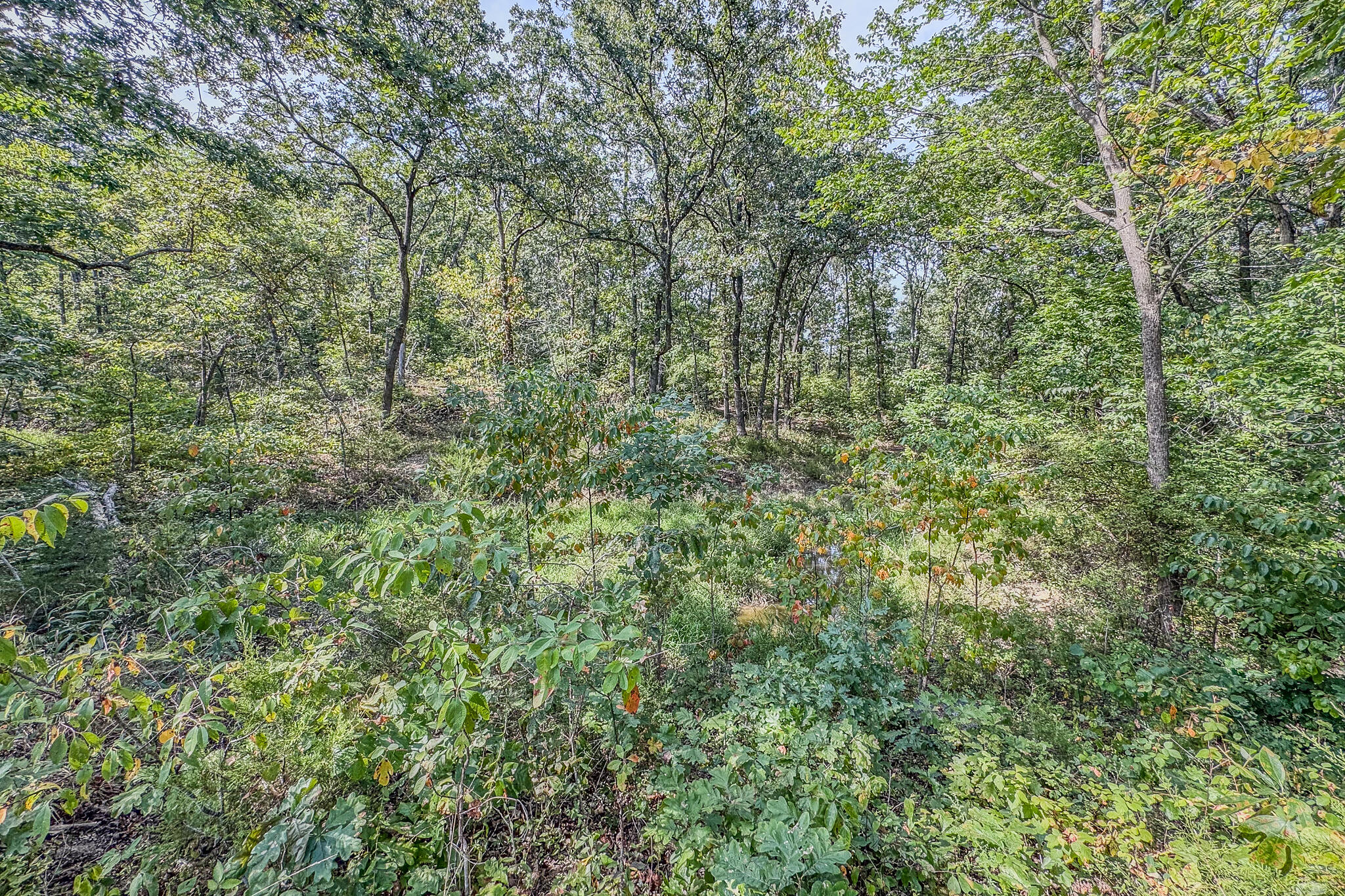Photo 30 - Land for sale – 000  White Clover Road  Strafford, MO