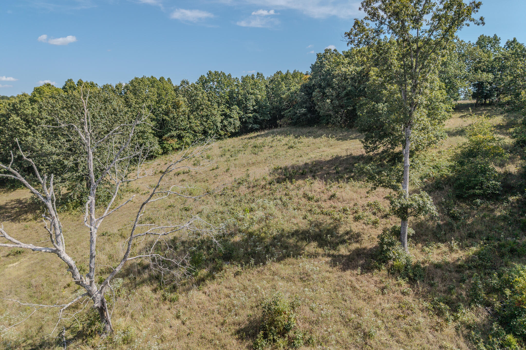 Photo 25 - Land for sale – 000  White Clover Road  Strafford, MO