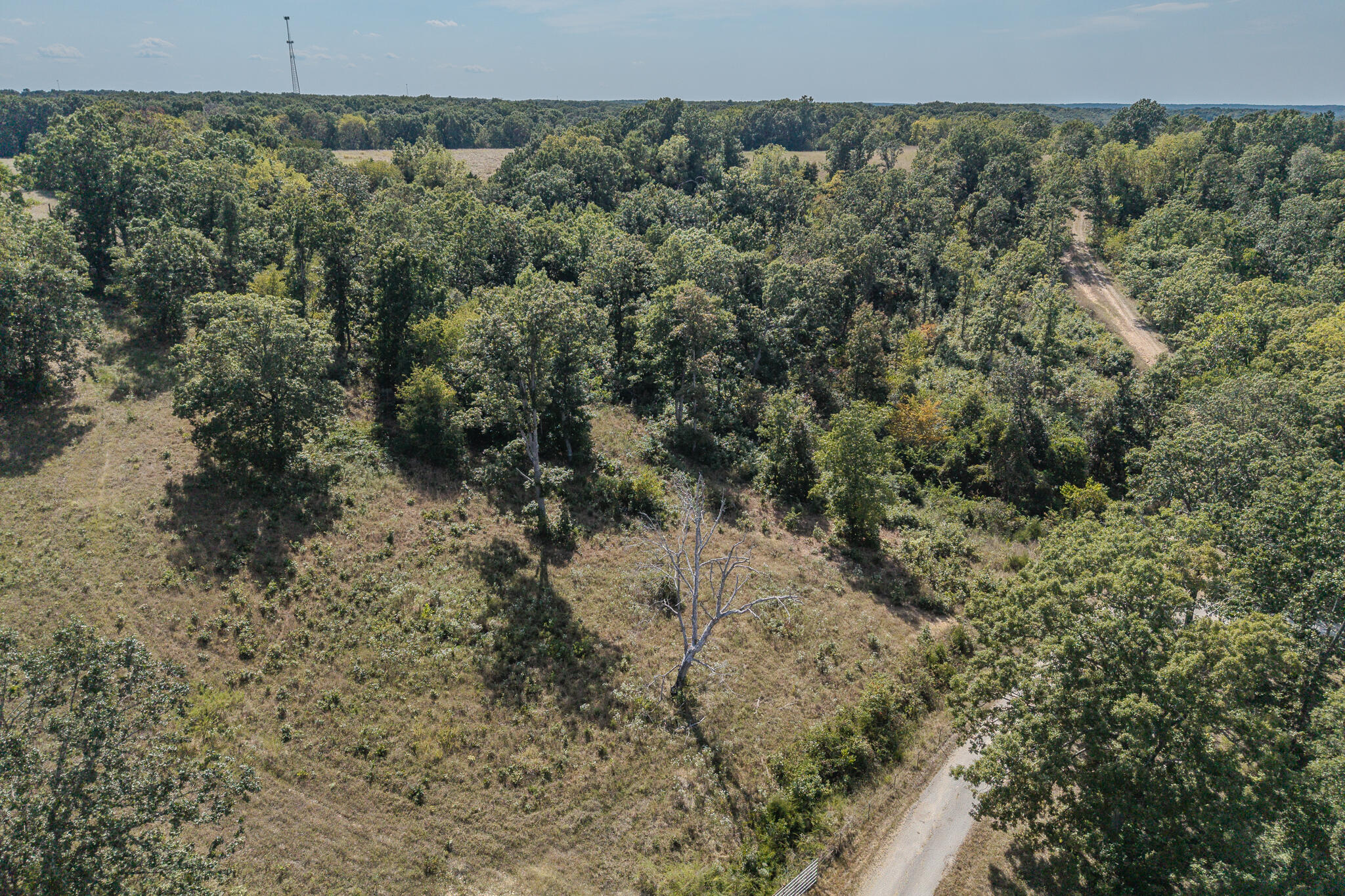 Photo 11 - Land for sale – 000  White Clover Road  Strafford, MO