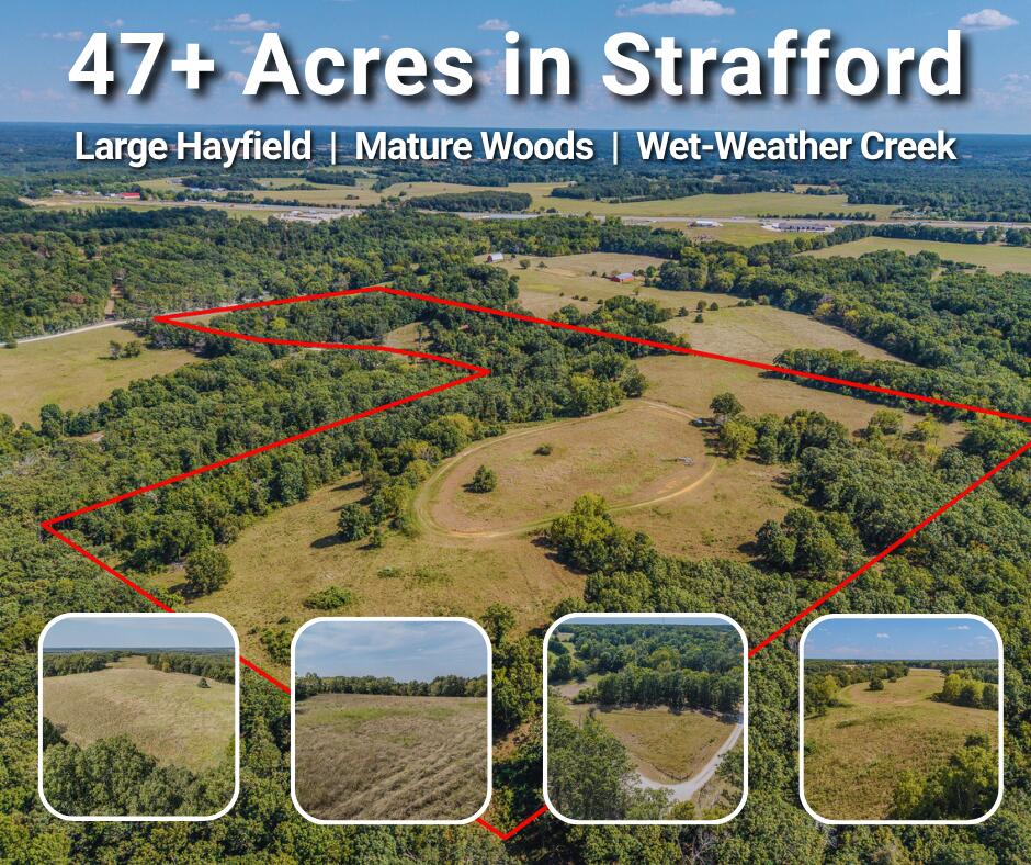 Photo 2 - Land for sale – 000  White Clover Road  Strafford, MO