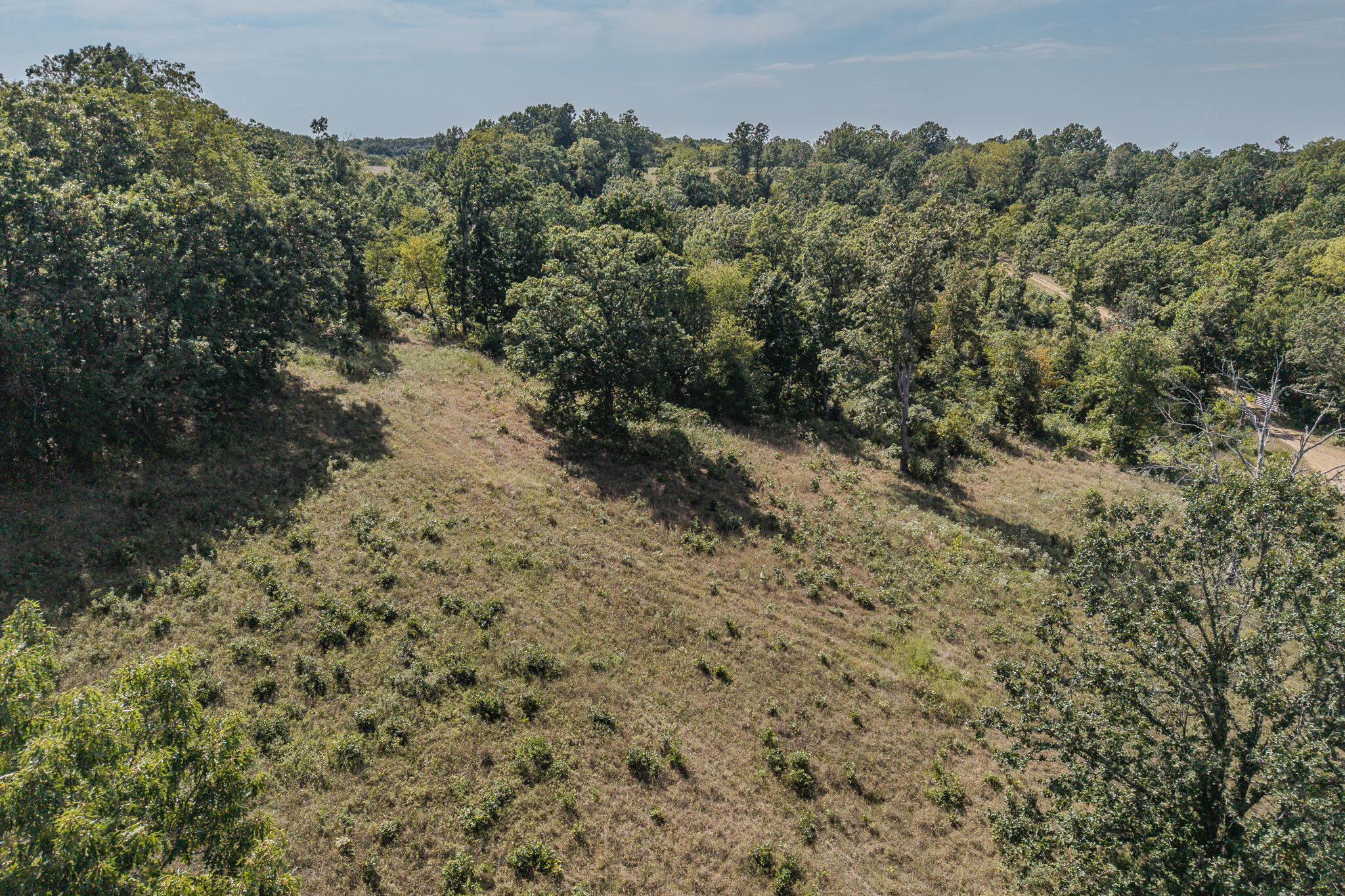 Photo 14 - Land for sale – 000  White Clover Road  Strafford, MO