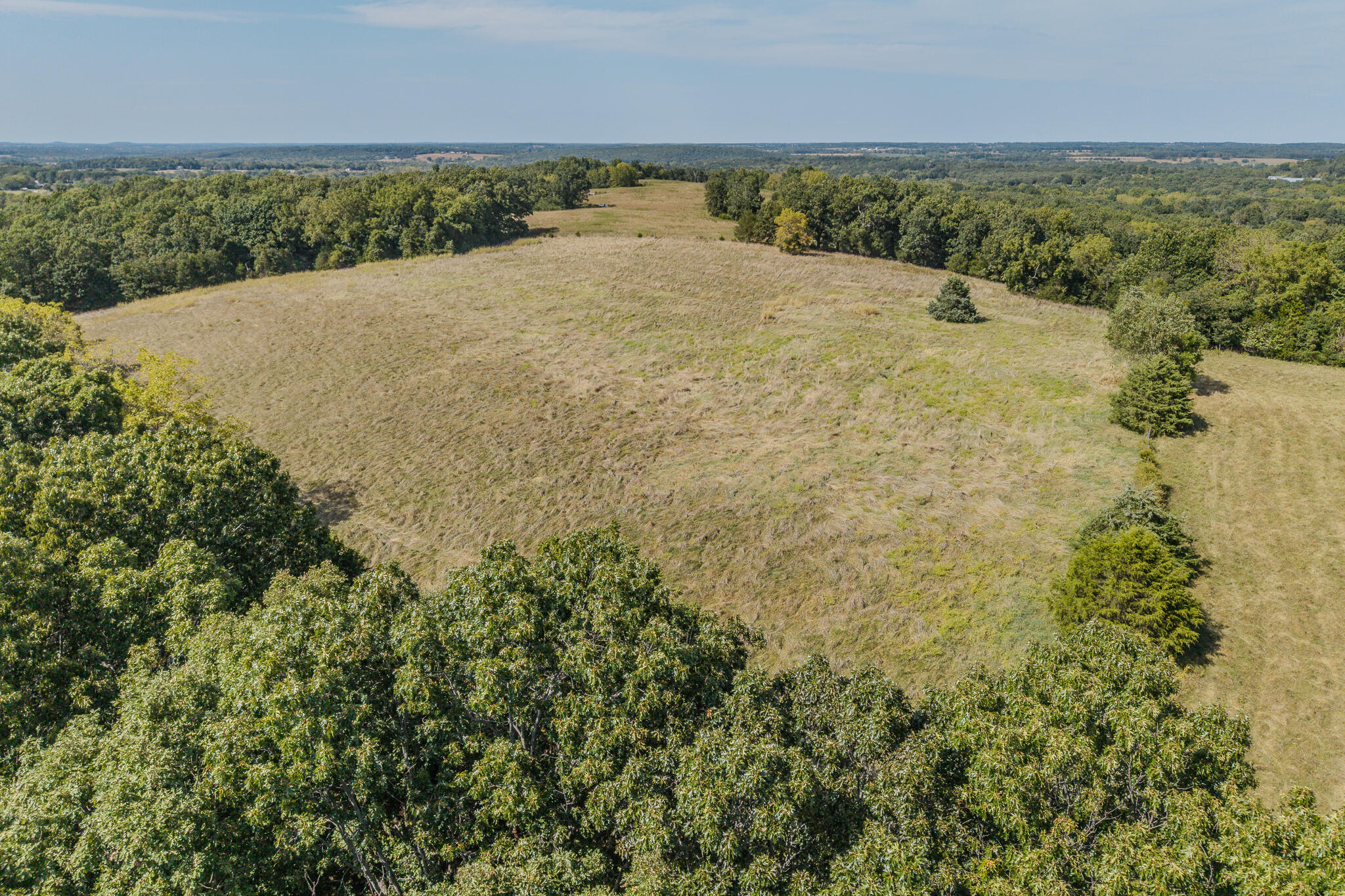 Photo 17 - Land for sale – 000  White Clover Road  Strafford, MO
