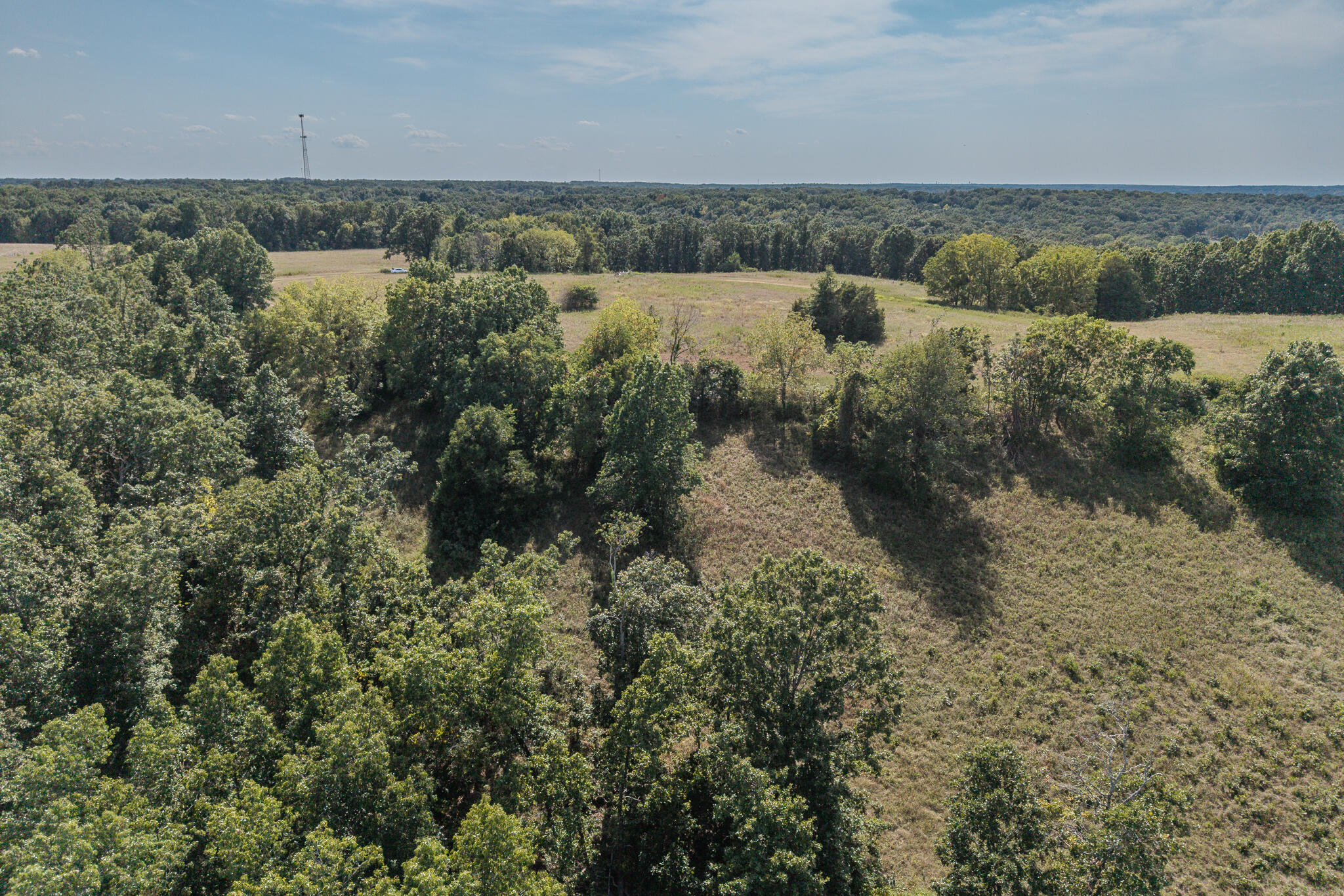 Photo 20 - Land for sale – 000  White Clover Road  Strafford, MO