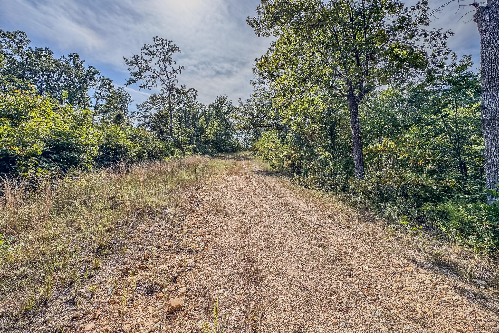 Photo 31 - Land for sale – 000  White Clover Road  Strafford, MO