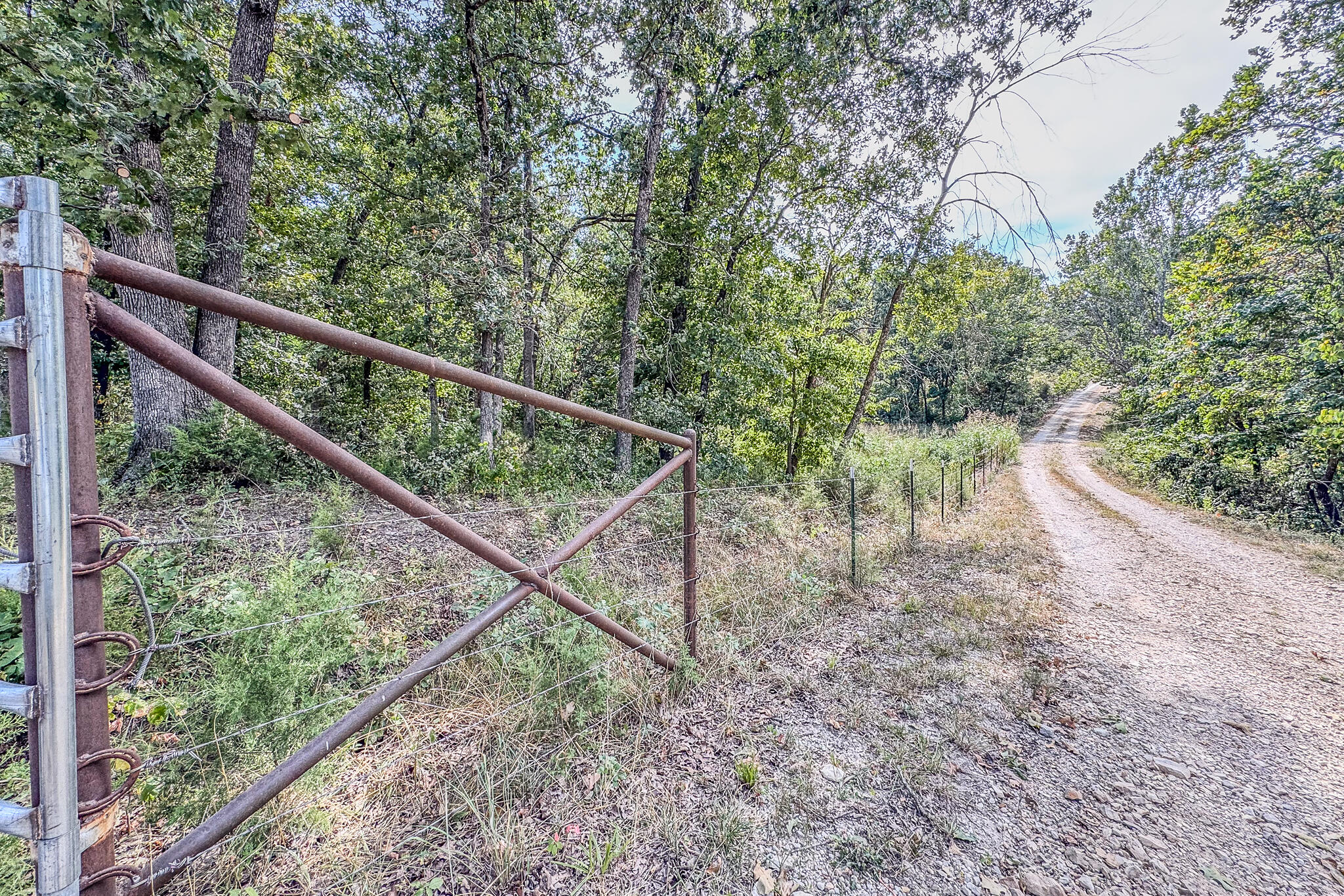 Photo 39 - Land for sale – 000  White Clover Road  Strafford, MO