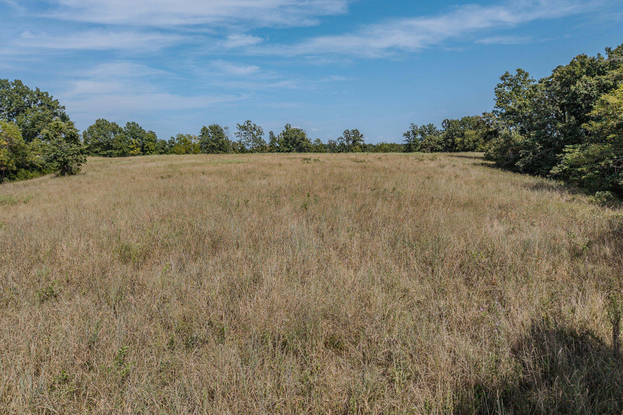 Photo 23 - Land for sale – 000  White Clover Road  Strafford, MO