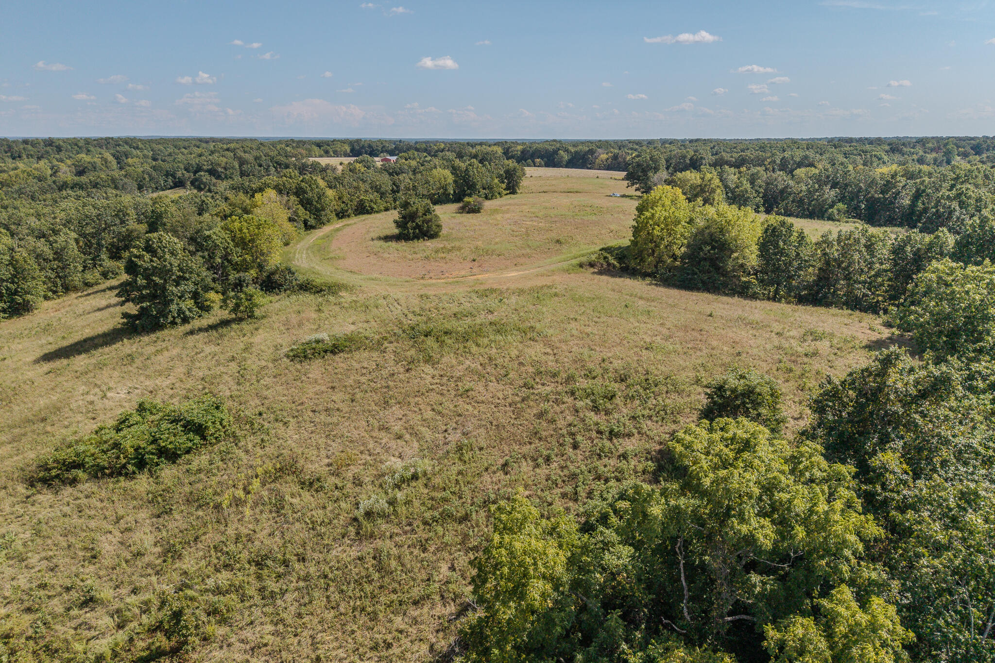 Photo 19 - Land for sale – 000  White Clover Road  Strafford, MO