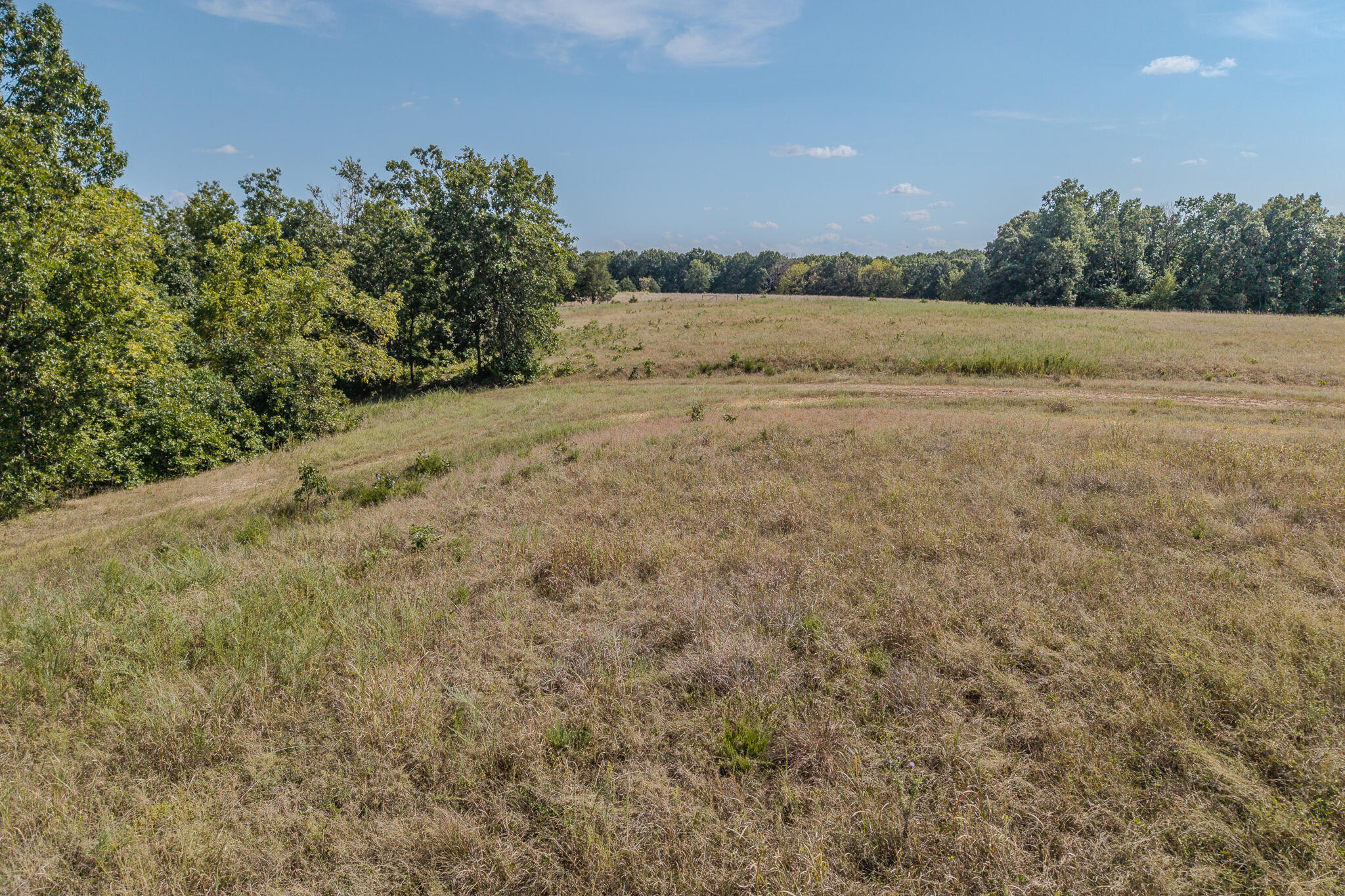 Photo 21 - Land for sale – 000  White Clover Road  Strafford, MO