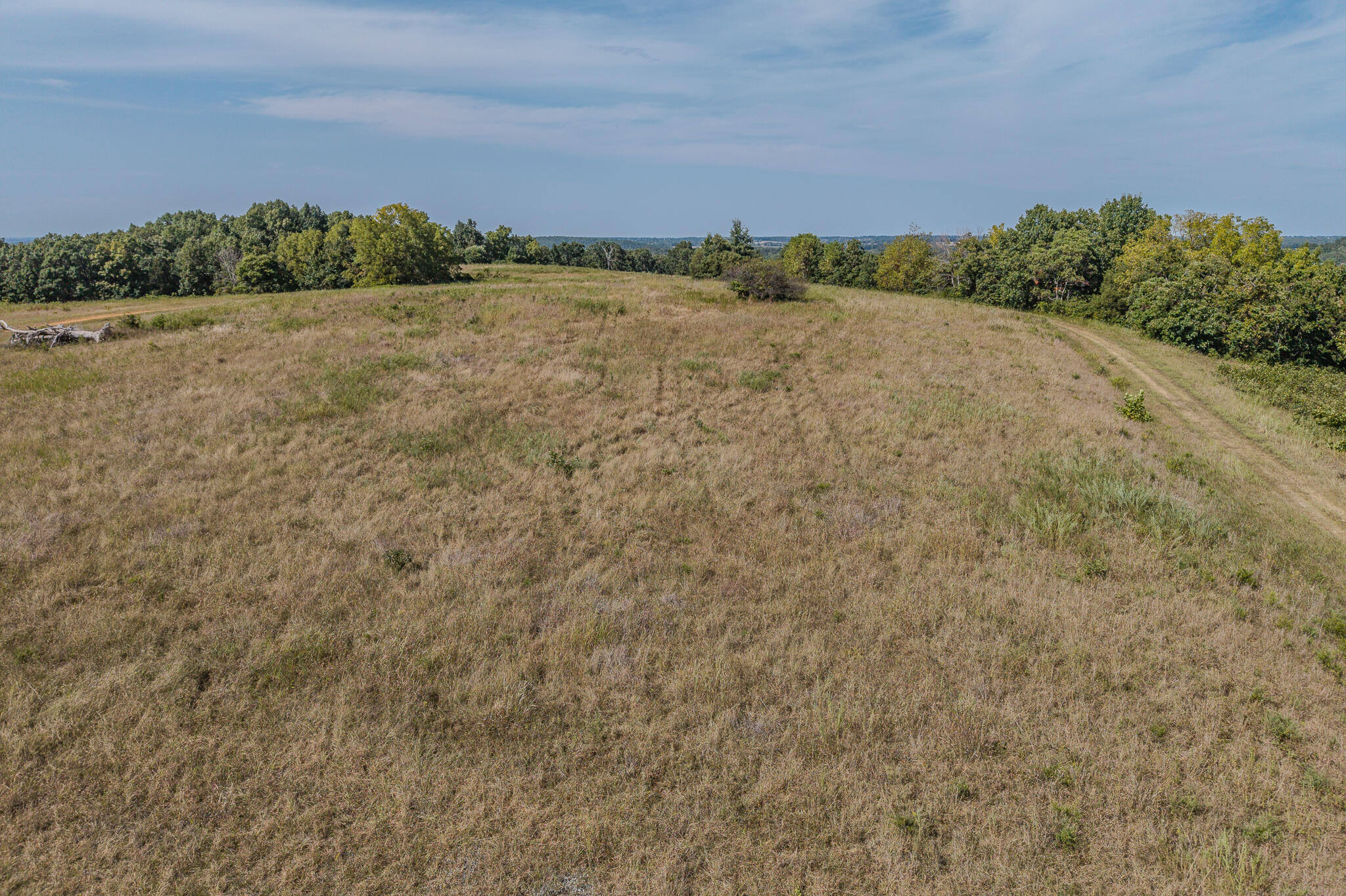 Photo 29 - Land for sale – 000  White Clover Road  Strafford, MO