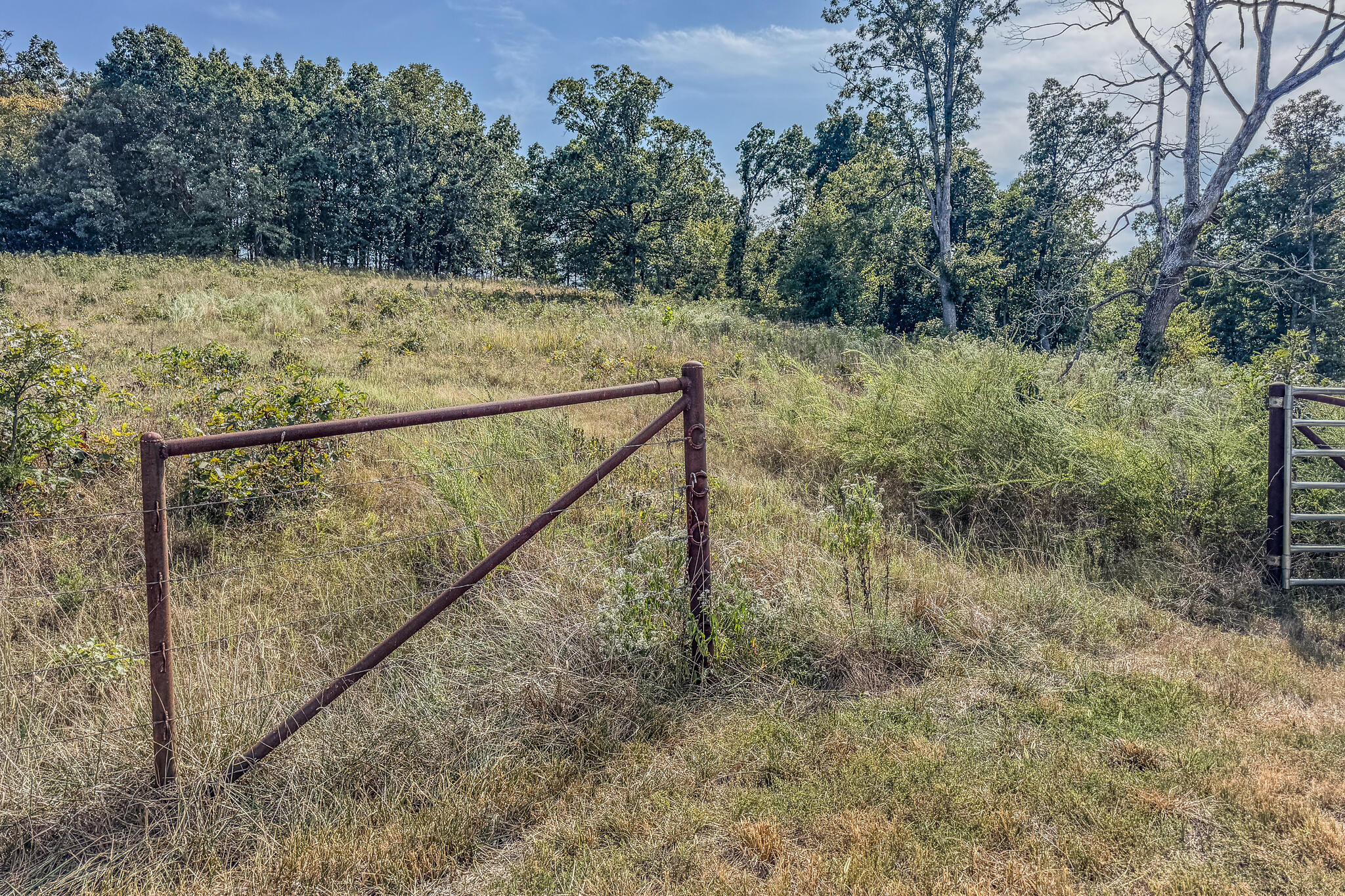 Photo 34 - Land for sale – 000  White Clover Road  Strafford, MO