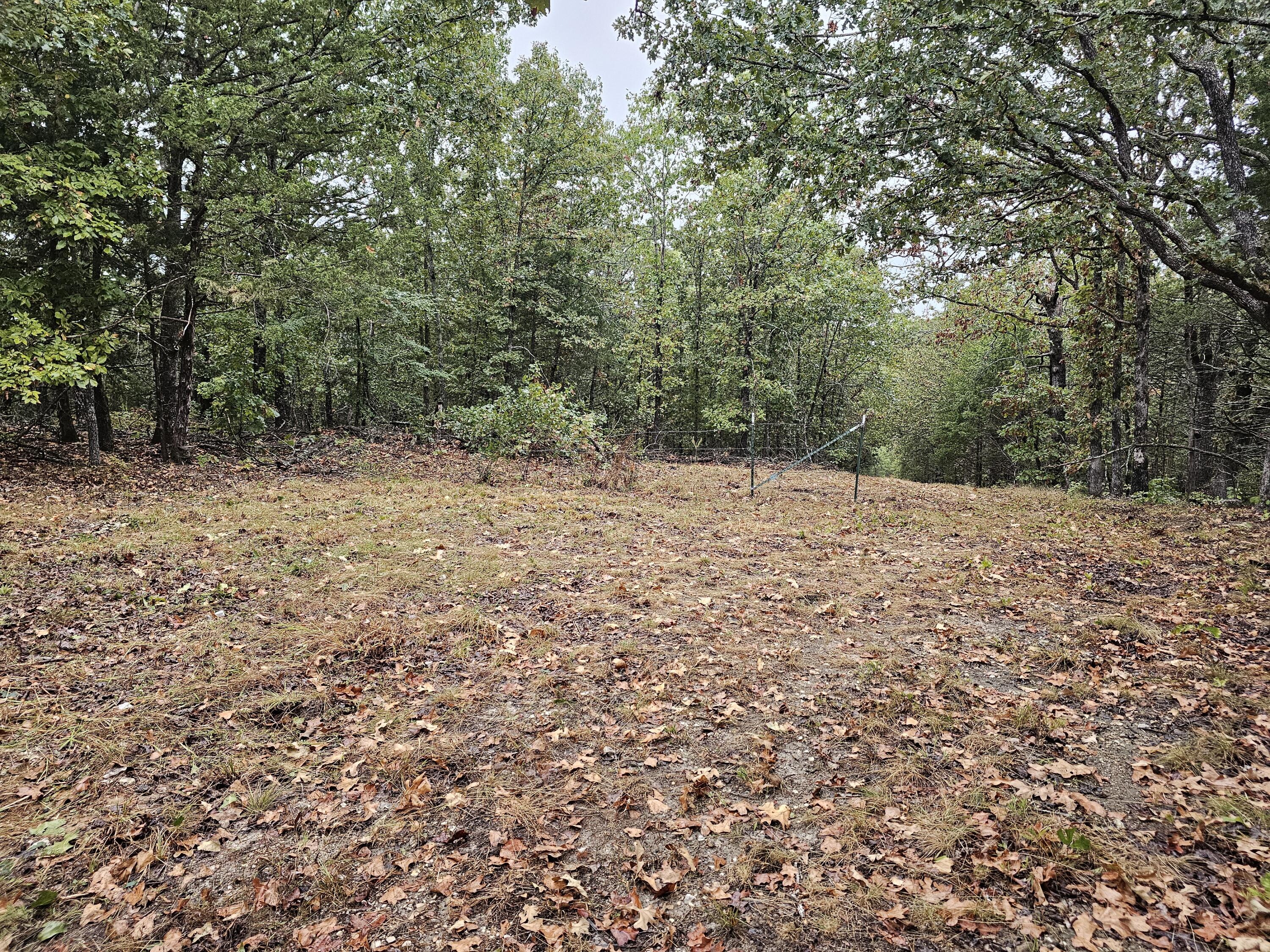 Photo 15 - Land for sale – 0  State Highway 76   Bradleyville, MO