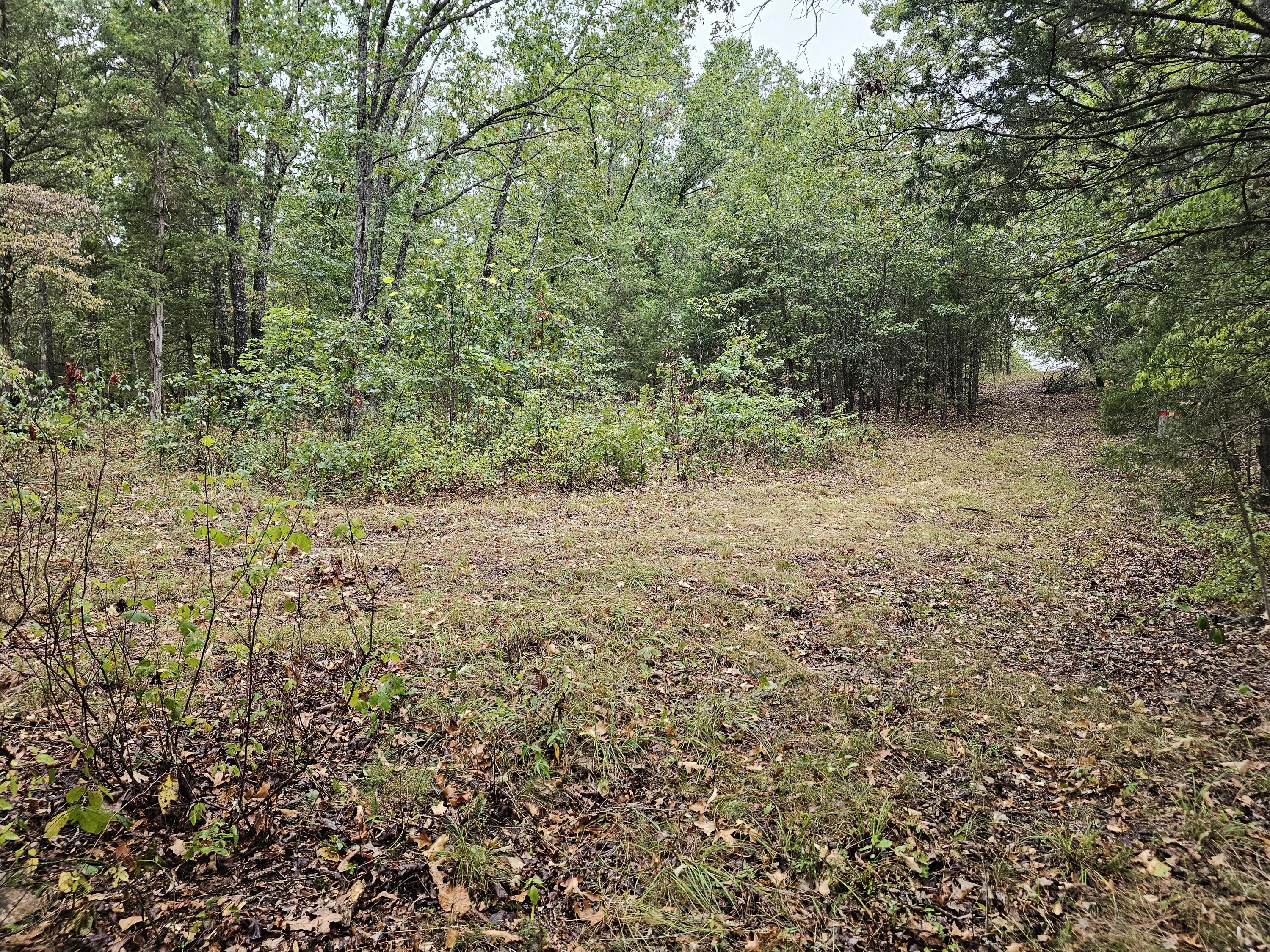 Photo 2 - Land for sale – 0  State Highway 76   Bradleyville, MO