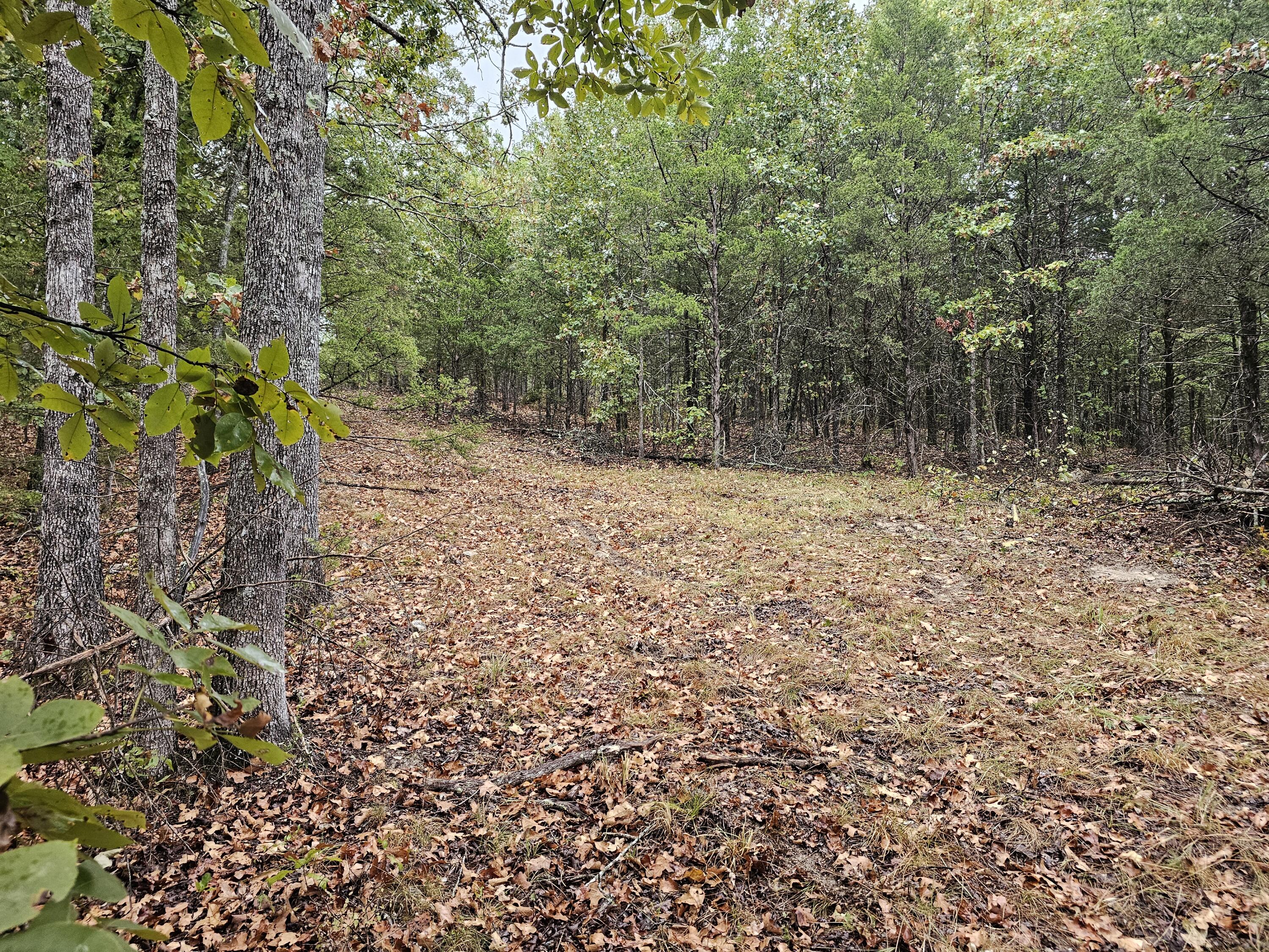 Photo 12 - Land for sale – 0  State Highway 76   Bradleyville, MO
