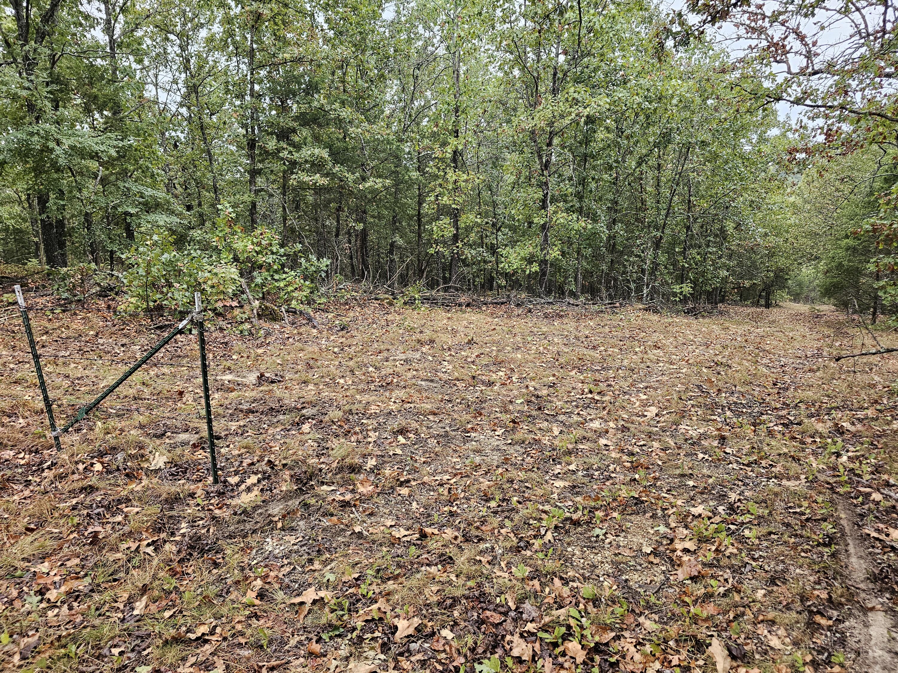 Photo 18 - Land for sale – 0  State Highway 76   Bradleyville, MO