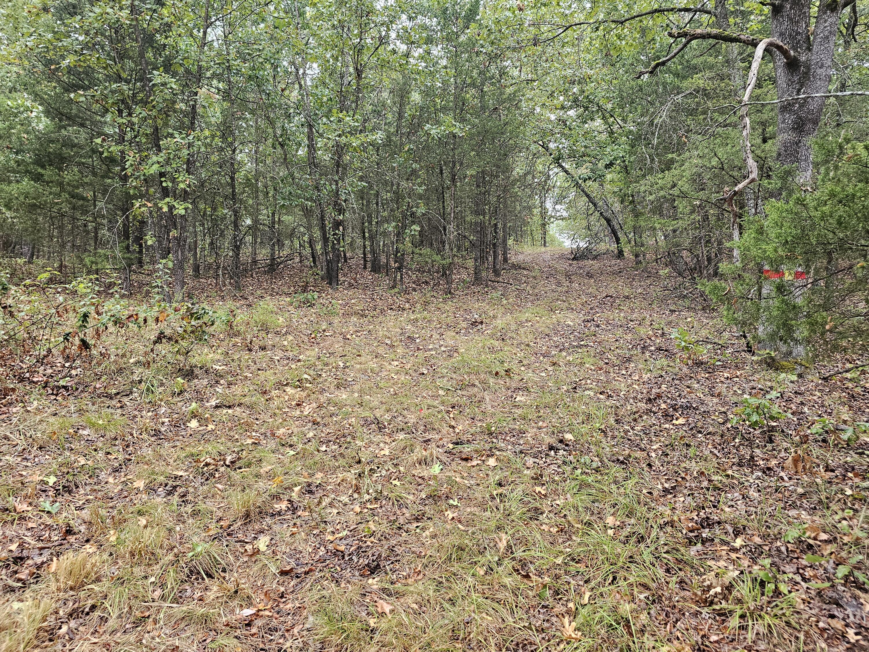 Photo 7 - Land for sale – 0  State Highway 76   Bradleyville, MO