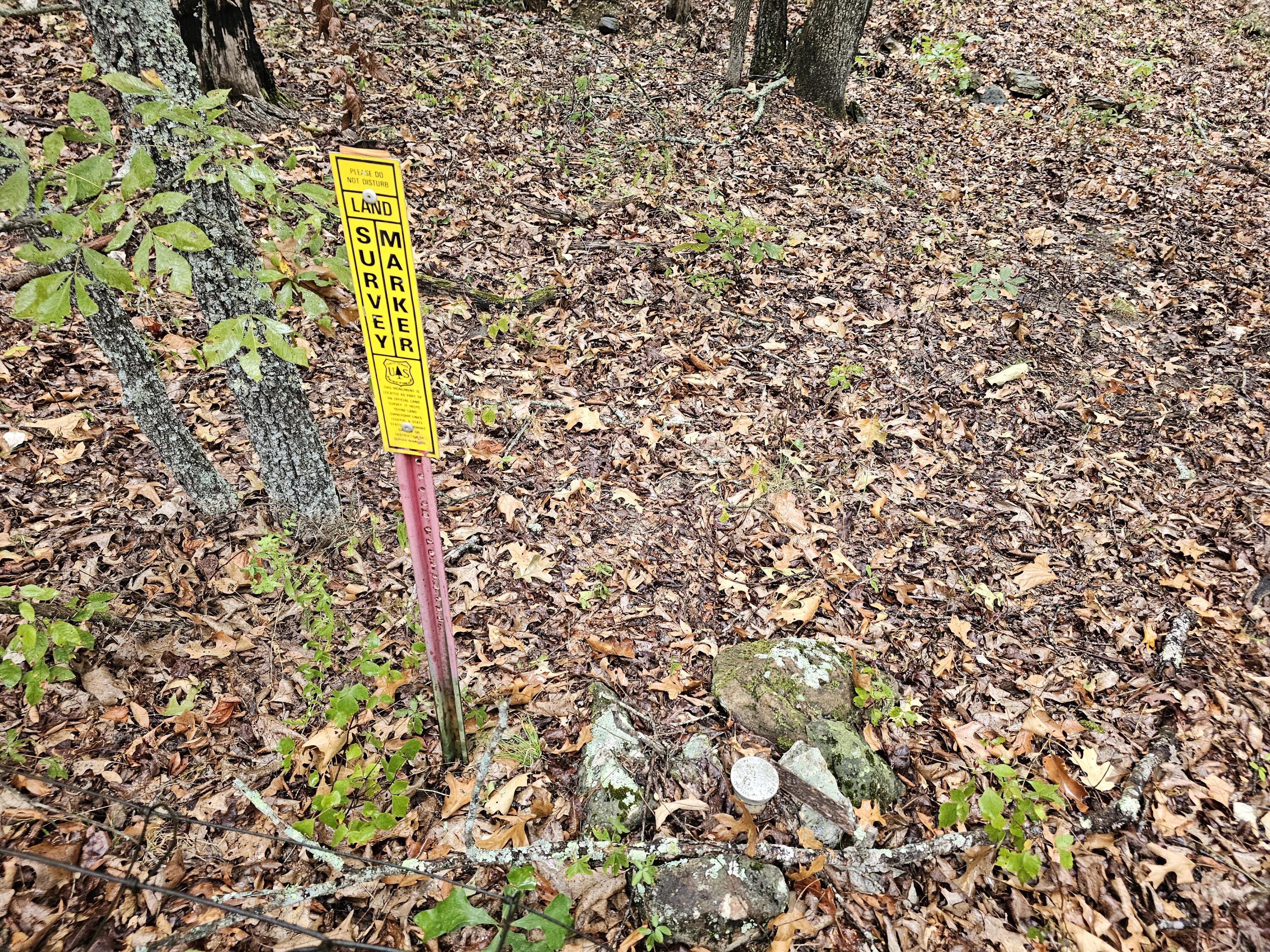 Photo 6 - Land for sale – 0  State Highway 76   Bradleyville, MO