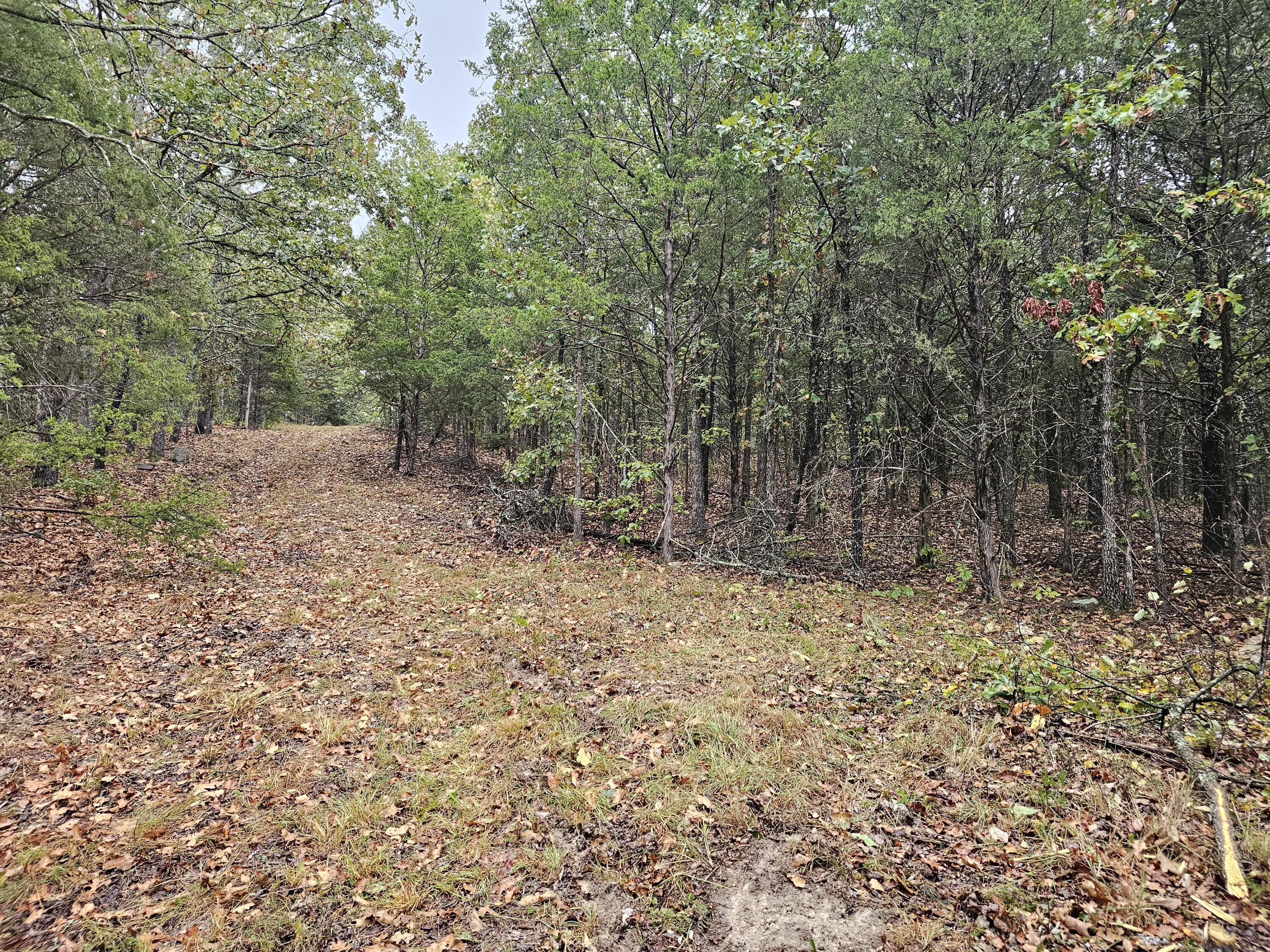 Photo 13 - Land for sale – 0  State Highway 76   Bradleyville, MO