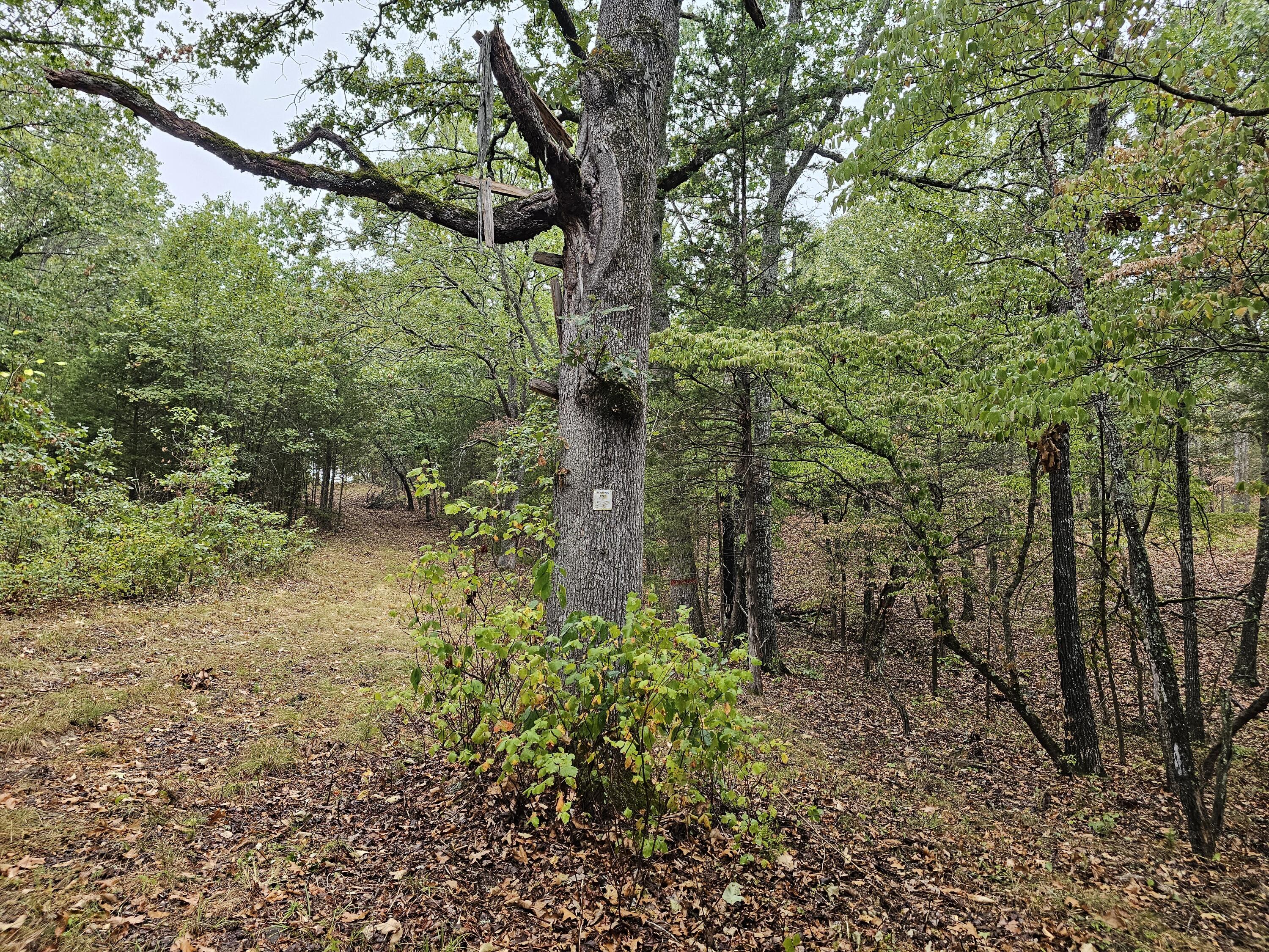 Land for sale – 0  State Highway 76   Bradleyville, MO