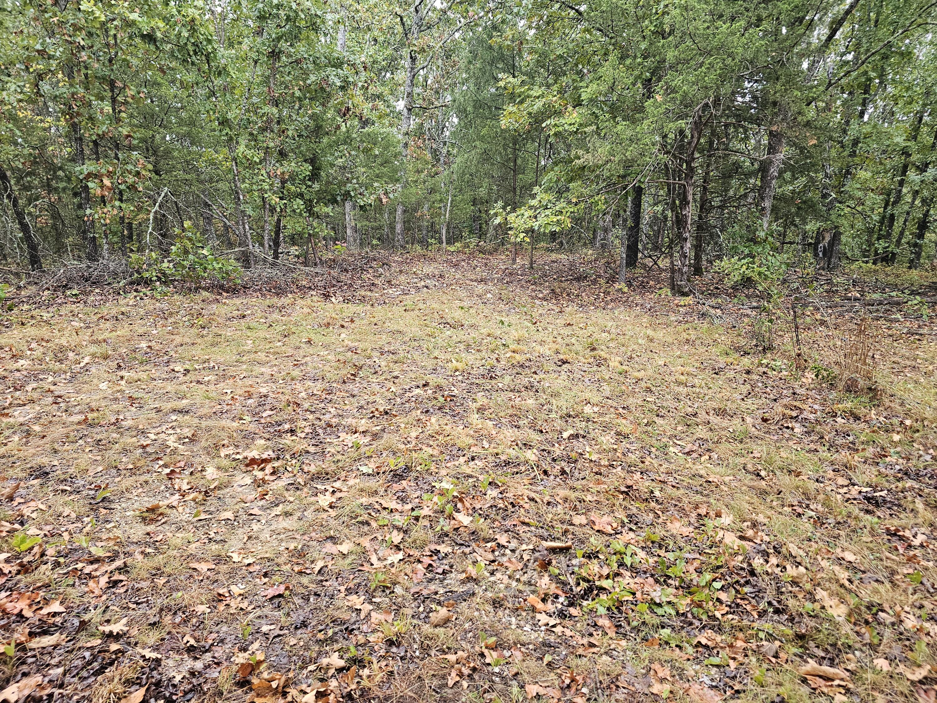 Photo 17 - Land for sale – 0  State Highway 76   Bradleyville, MO
