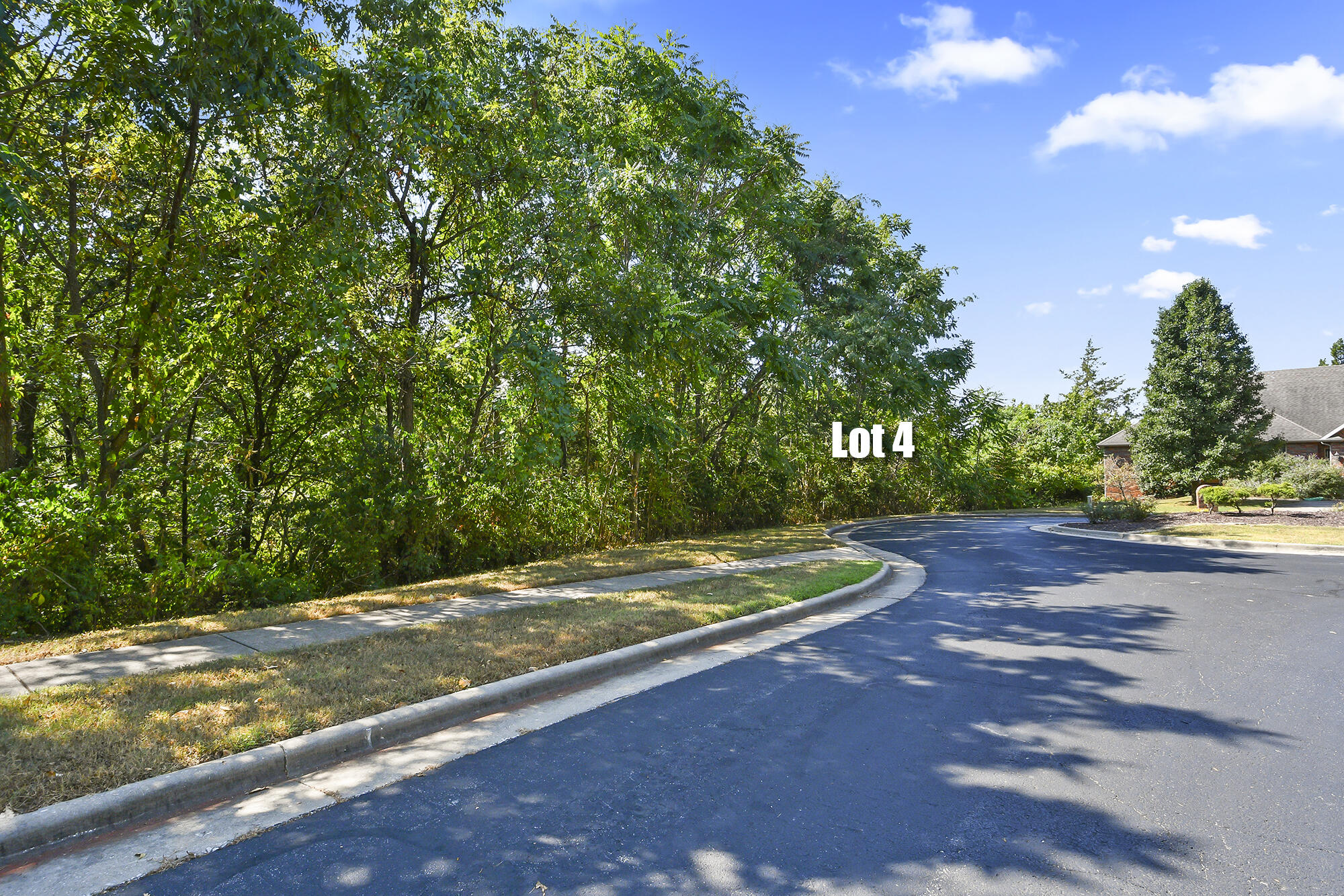 Photo 5 - Land for sale – 5228 S Nettleton Avenue  Springfield, MO