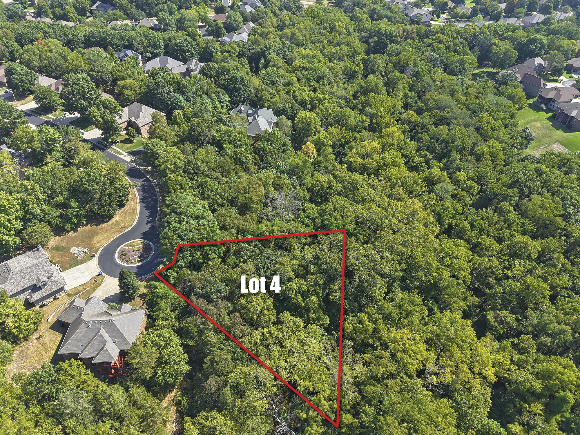 Photo 3 - Land for sale – 5228 S Nettleton Avenue  Springfield, MO