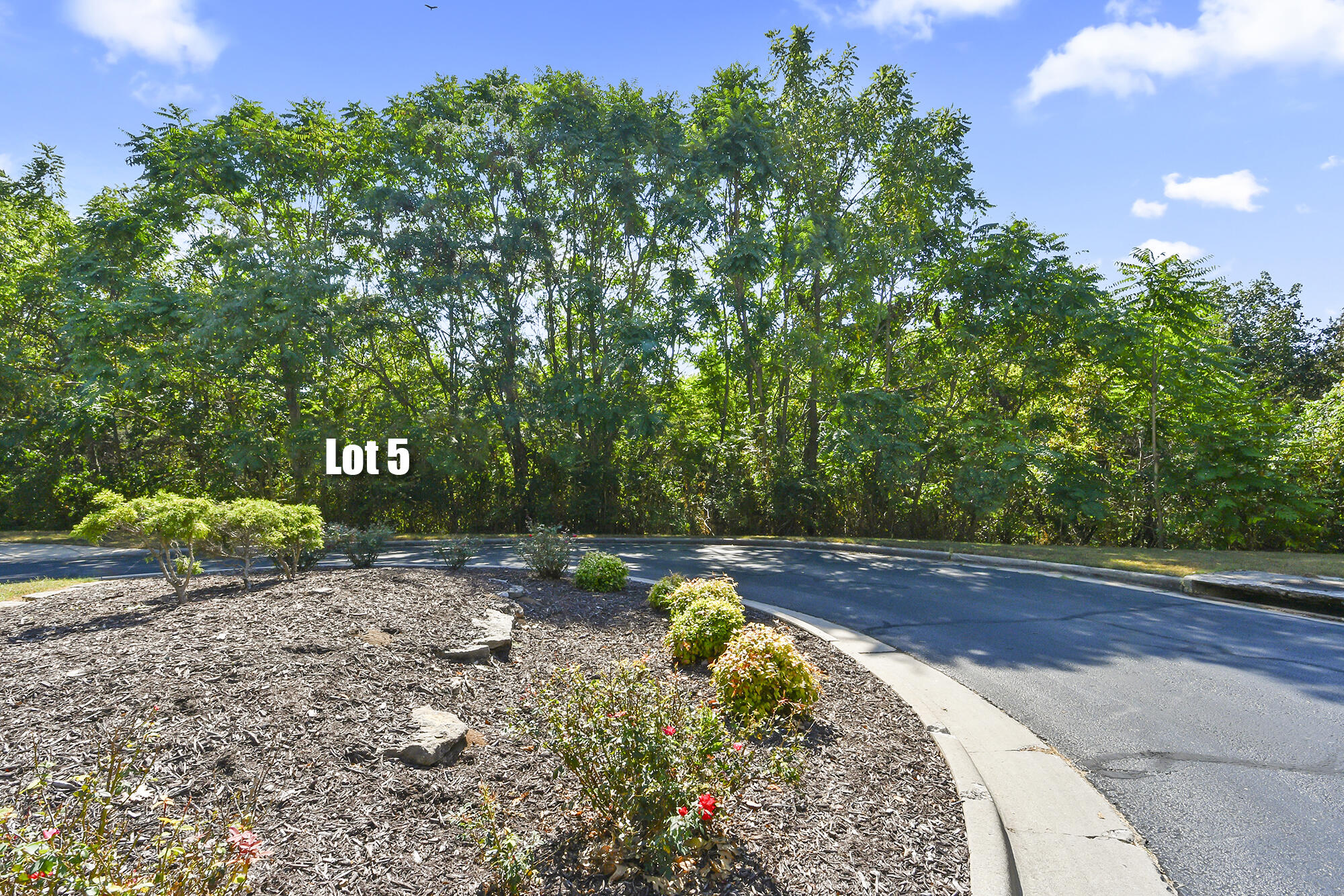 Photo 4 - Land for sale – 5216 S Nettleton Avenue  Springfield, MO