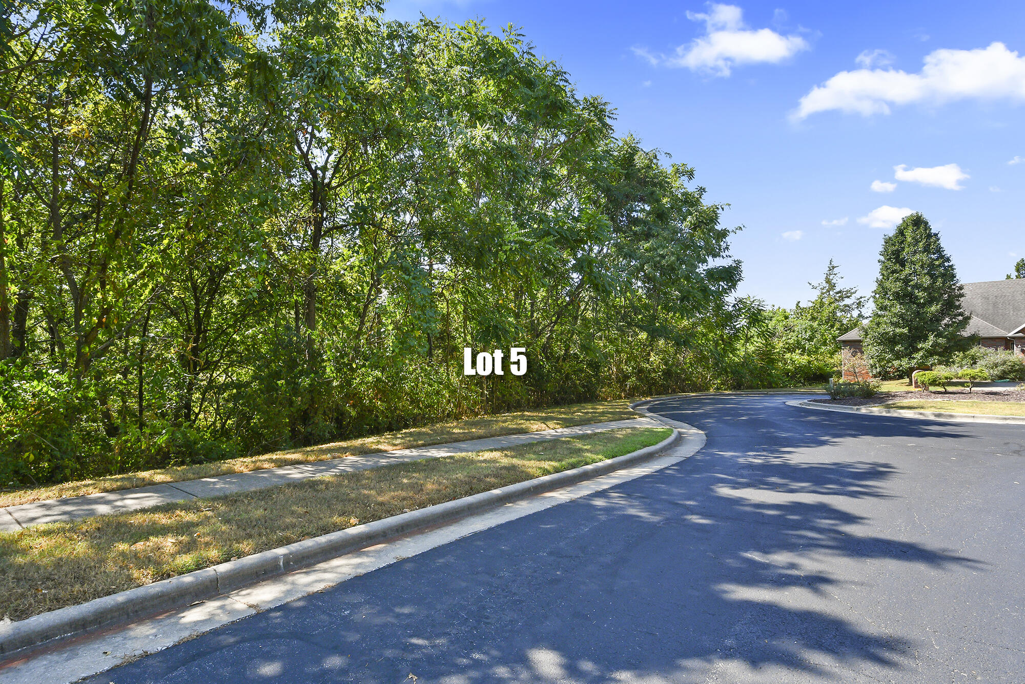 Photo 5 - Land for sale – 5216 S Nettleton Avenue  Springfield, MO
