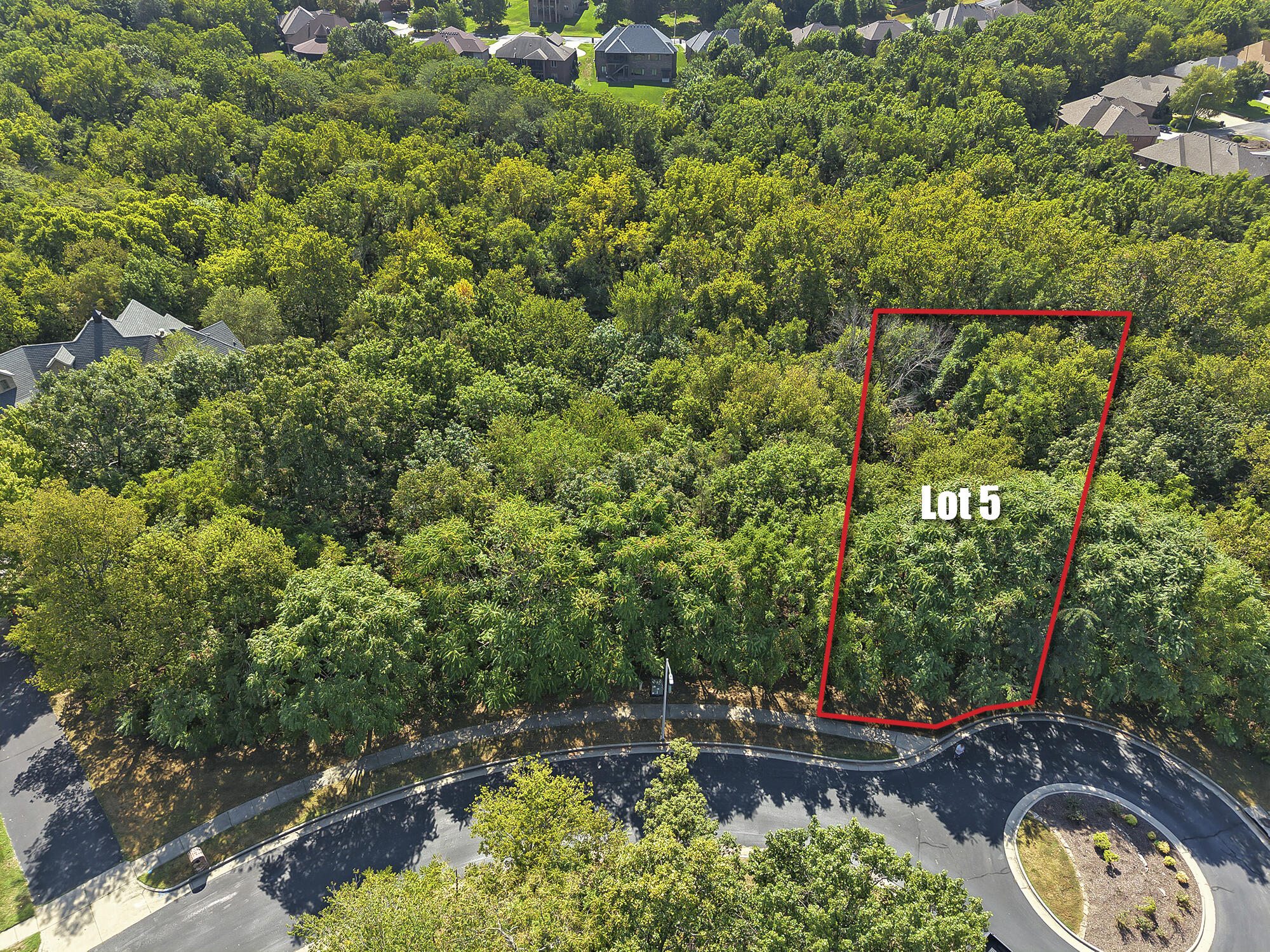 Photo 3 - Land for sale – 5216 S Nettleton Avenue  Springfield, MO