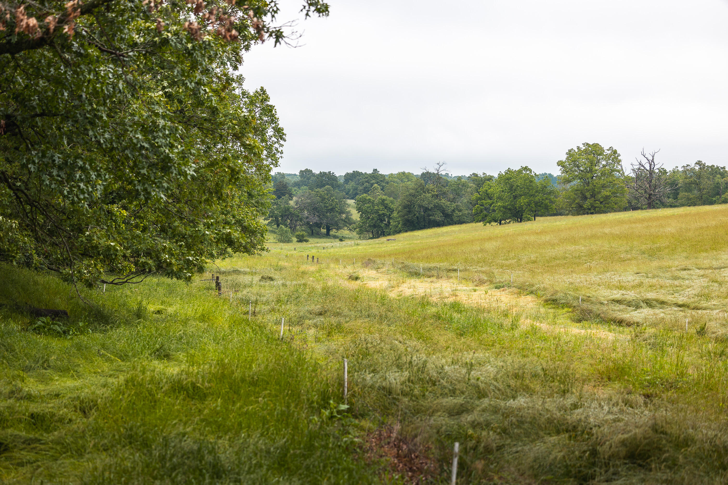 Photo 49 - Land for sale – 000  Farm Road 1200   Crane, MO