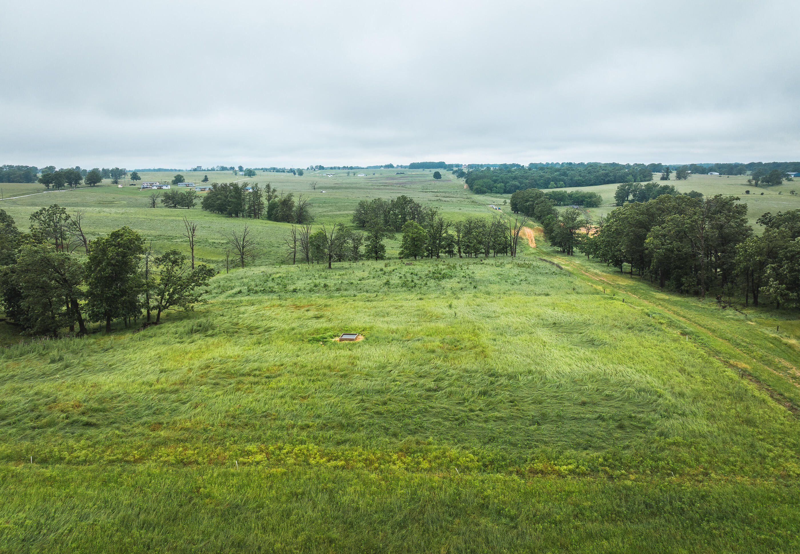 Photo 9 - Land for sale – 000  Farm Road 1200   Crane, MO