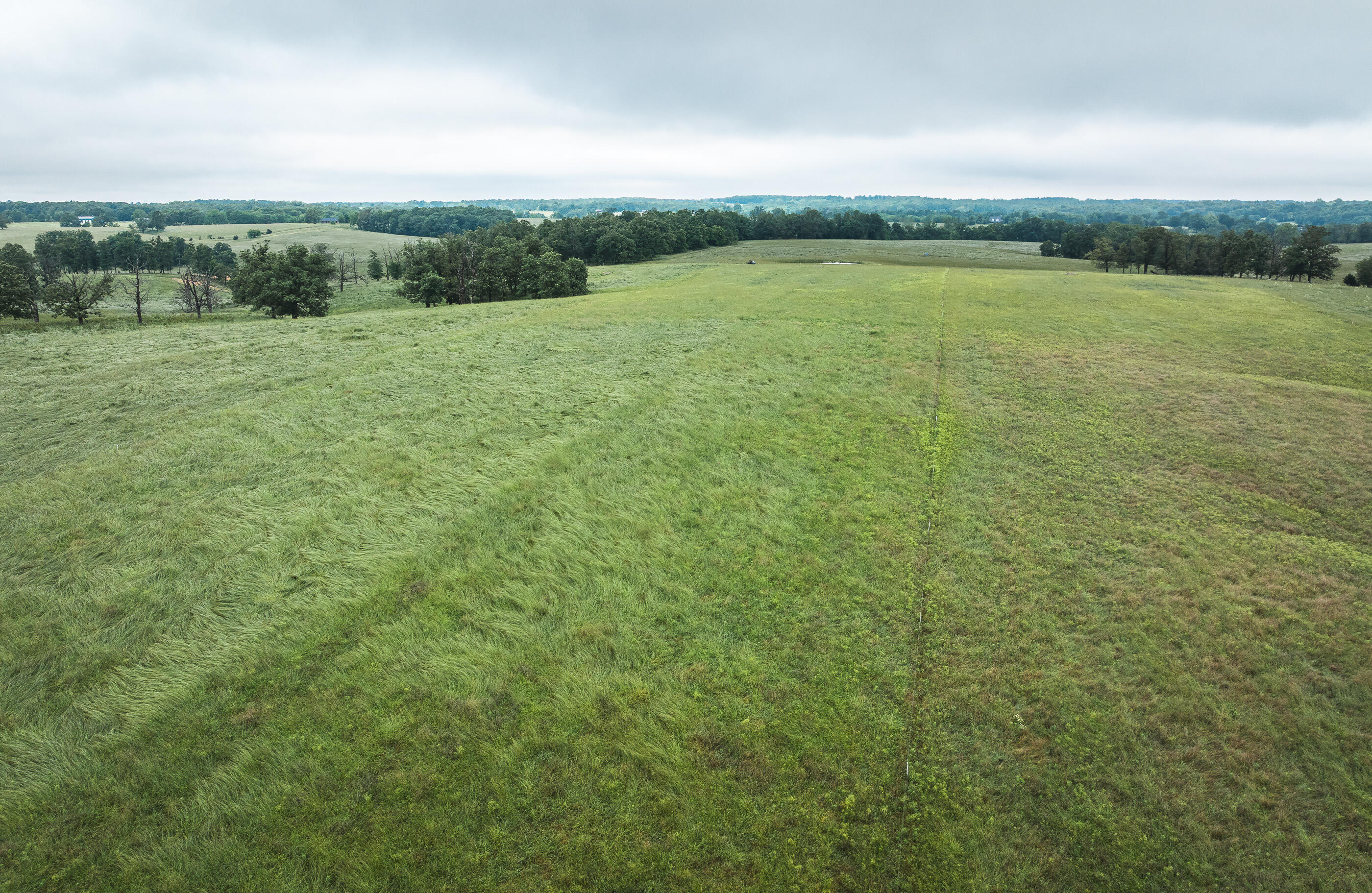 Photo 36 - Land for sale – 000  Farm Road 1200   Crane, MO