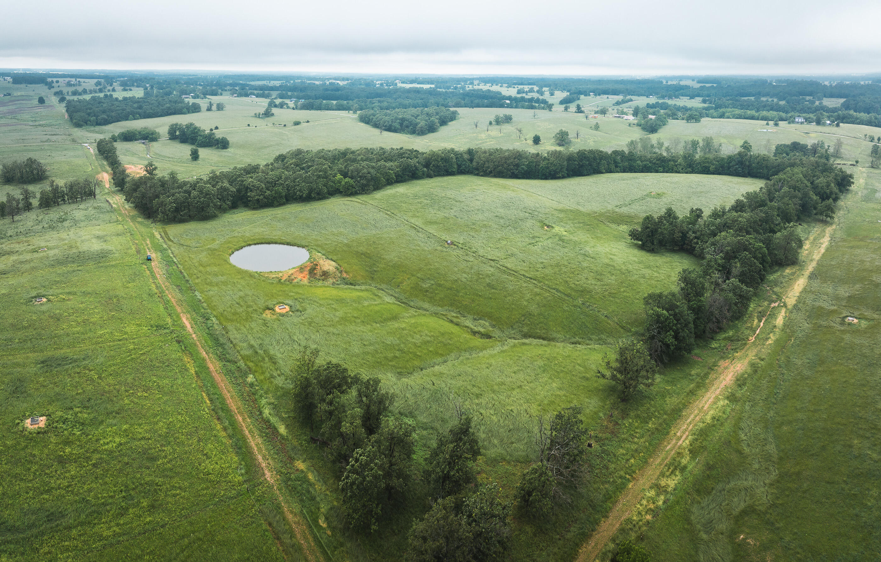 Photo 10 - Land for sale – 000  Farm Road 1200   Crane, MO