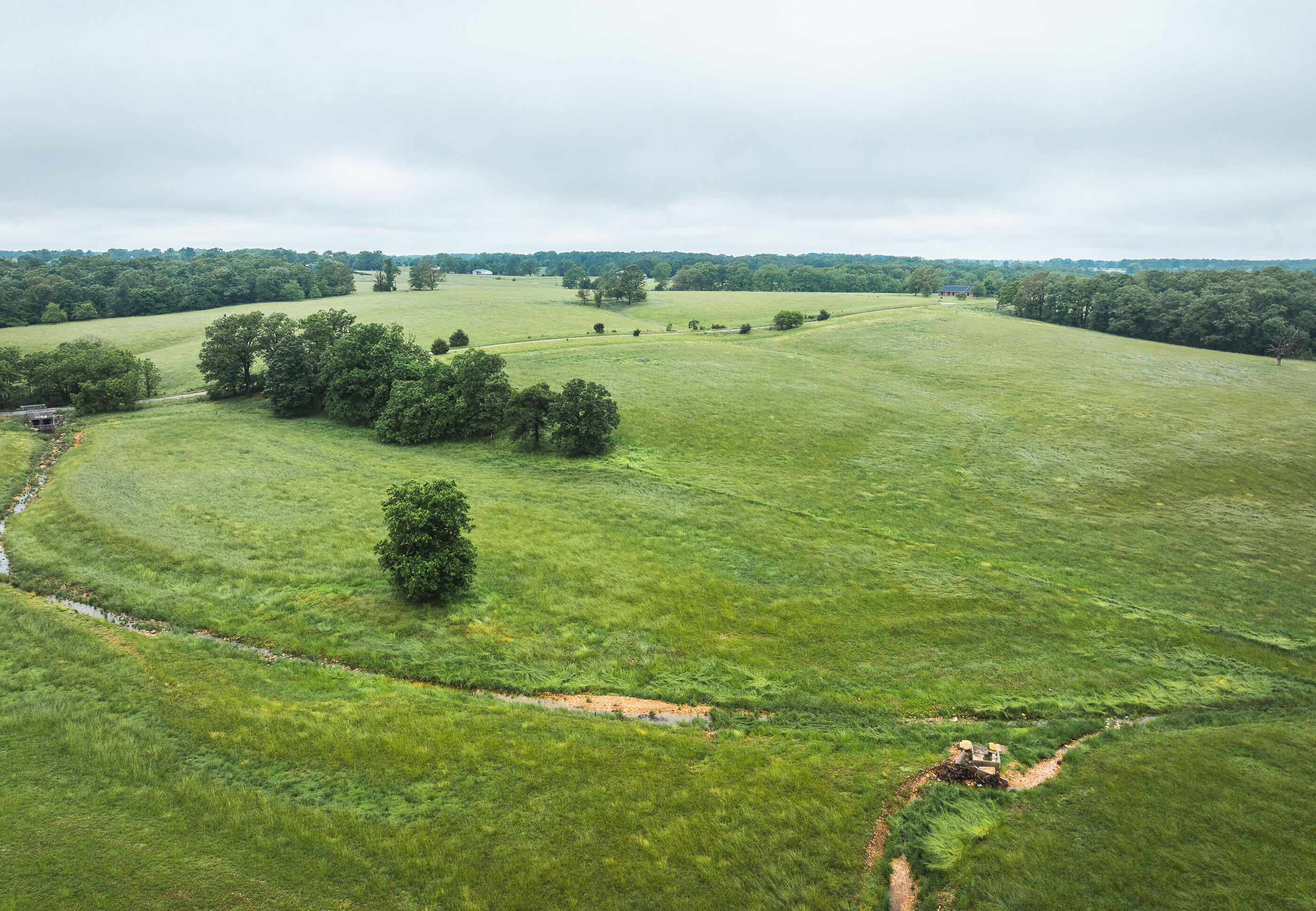 Photo 17 - Land for sale – 000  Farm Road 1200   Crane, MO