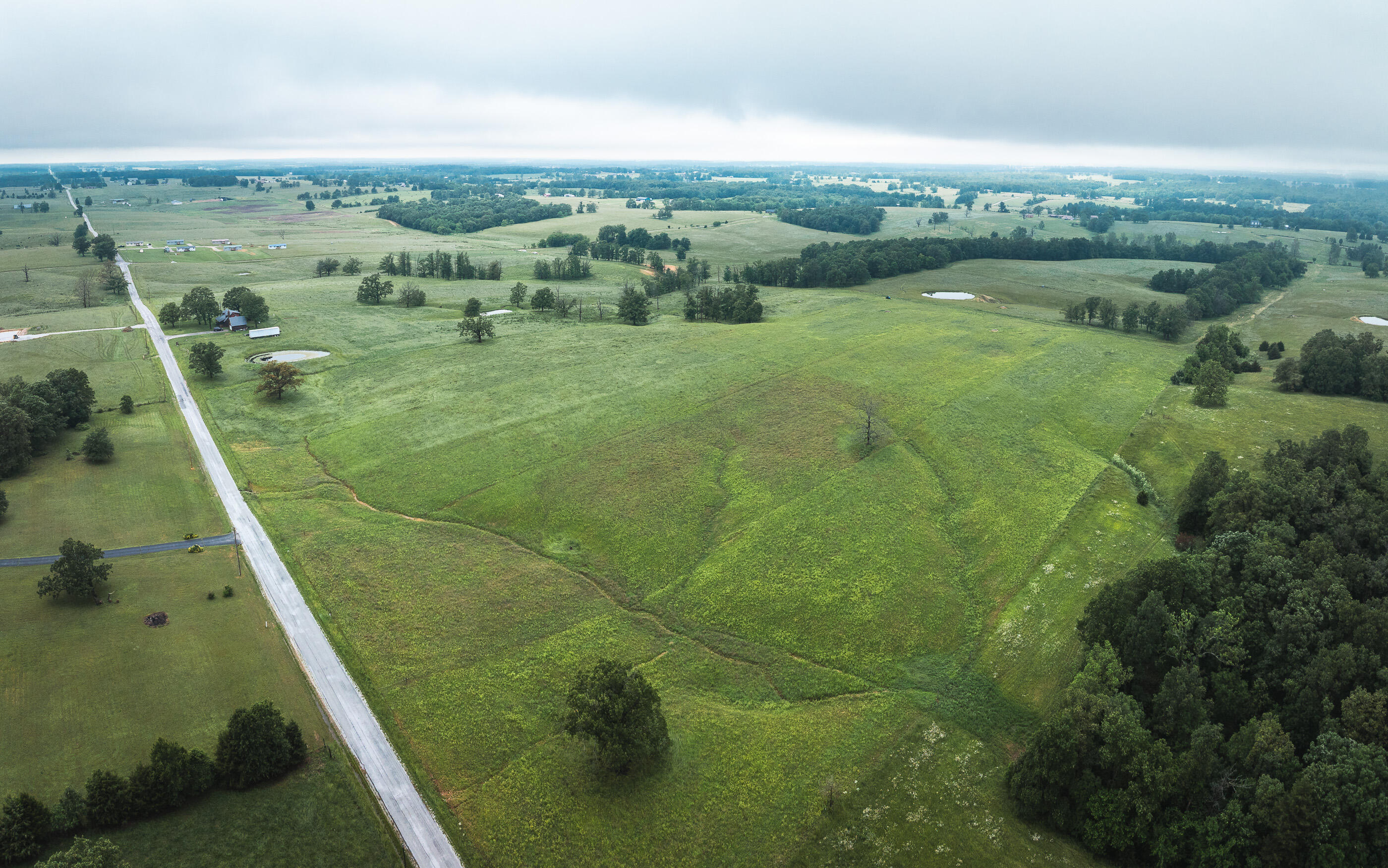 Photo 11 - Land for sale – 000  Farm Road 1200   Crane, MO