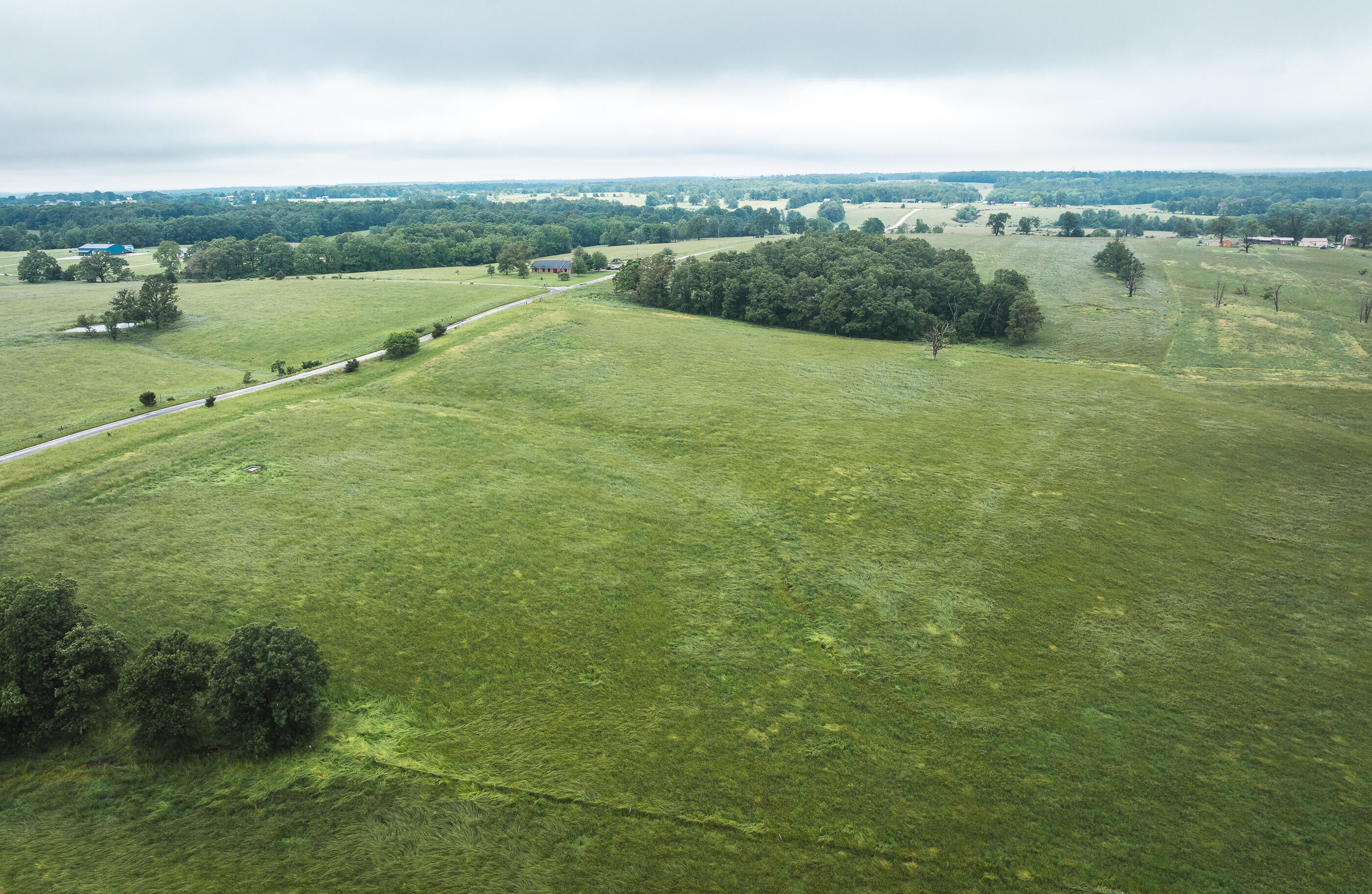 Photo 39 - Land for sale – 000  Farm Road 1200   Crane, MO