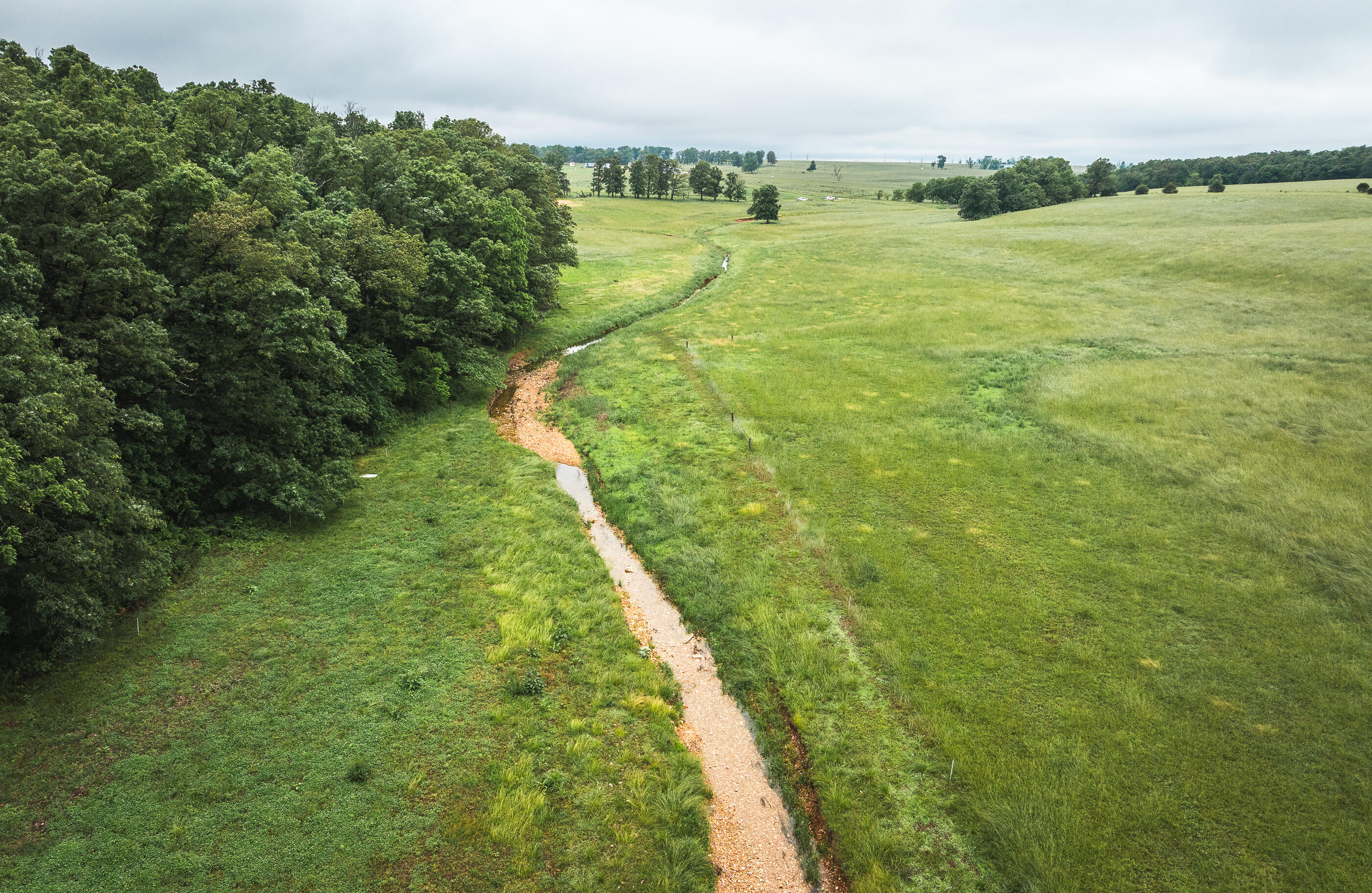 Photo 33 - Land for sale – 000  Farm Road 1200   Crane, MO