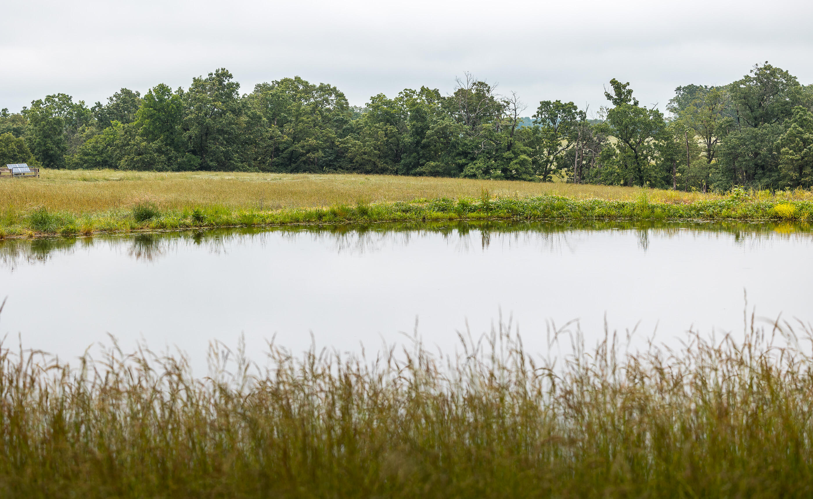 Photo 12 - Land for sale – 000  Farm Road 1200   Crane, MO