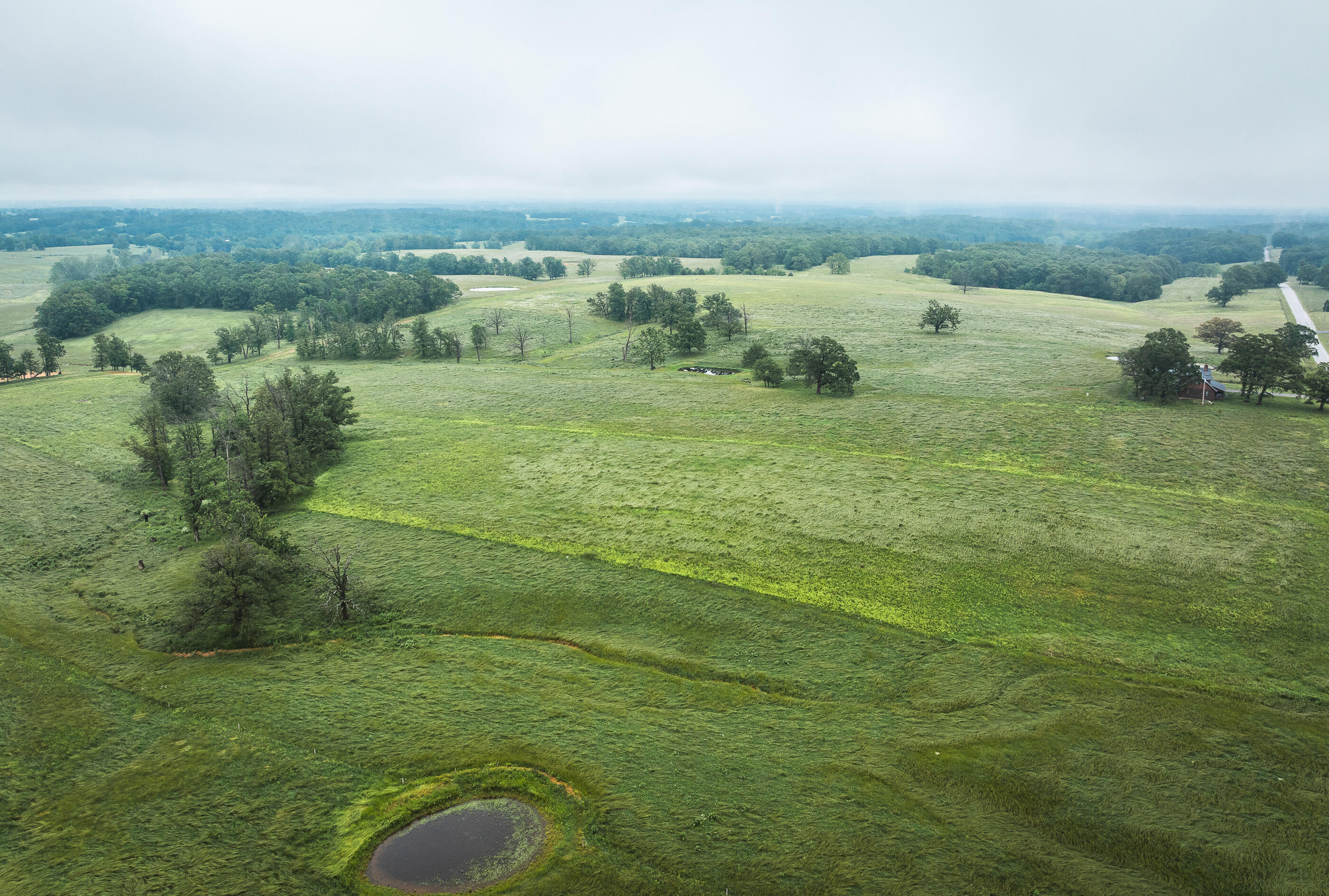 Photo 7 - Land for sale – 000  Farm Road 1200   Crane, MO