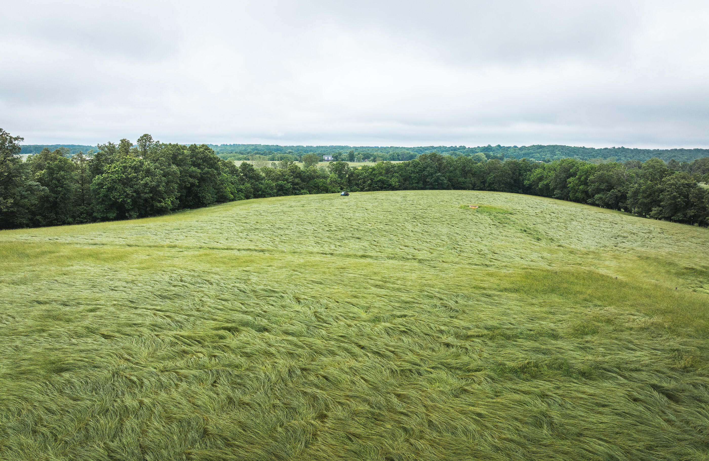 Photo 27 - Land for sale – 000  Farm Road 1200   Crane, MO