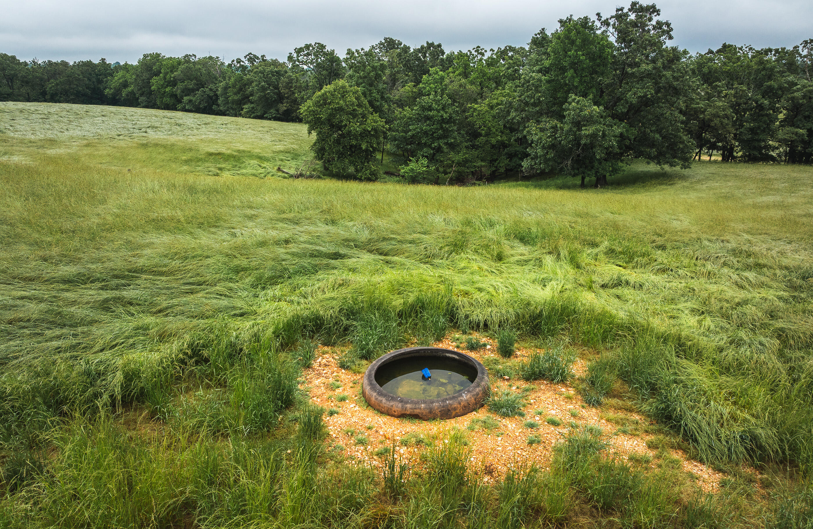 Photo 35 - Land for sale – 000  Farm Road 1200   Crane, MO